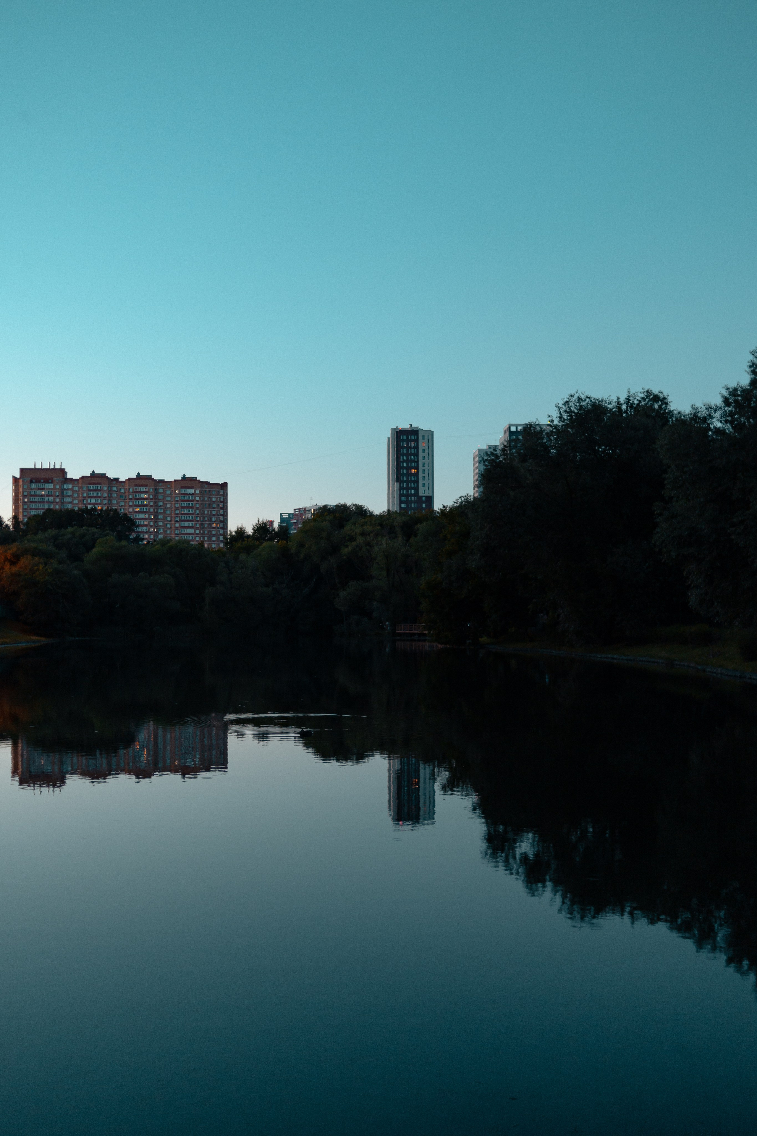 More bokeh. Папка кадров 📁