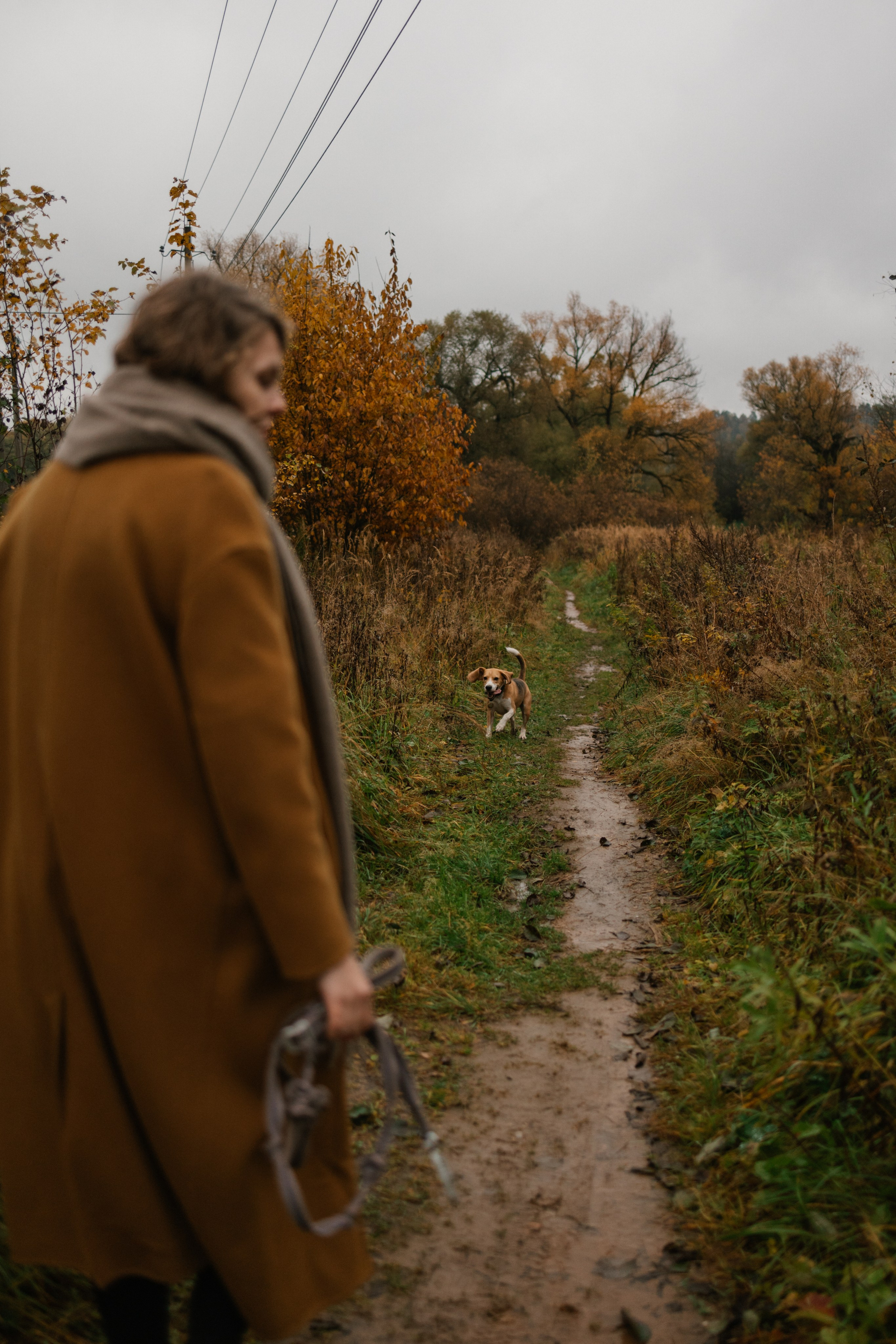 Лена и Тайгер. Фотограф — Анималист | Санкт-Петербург
