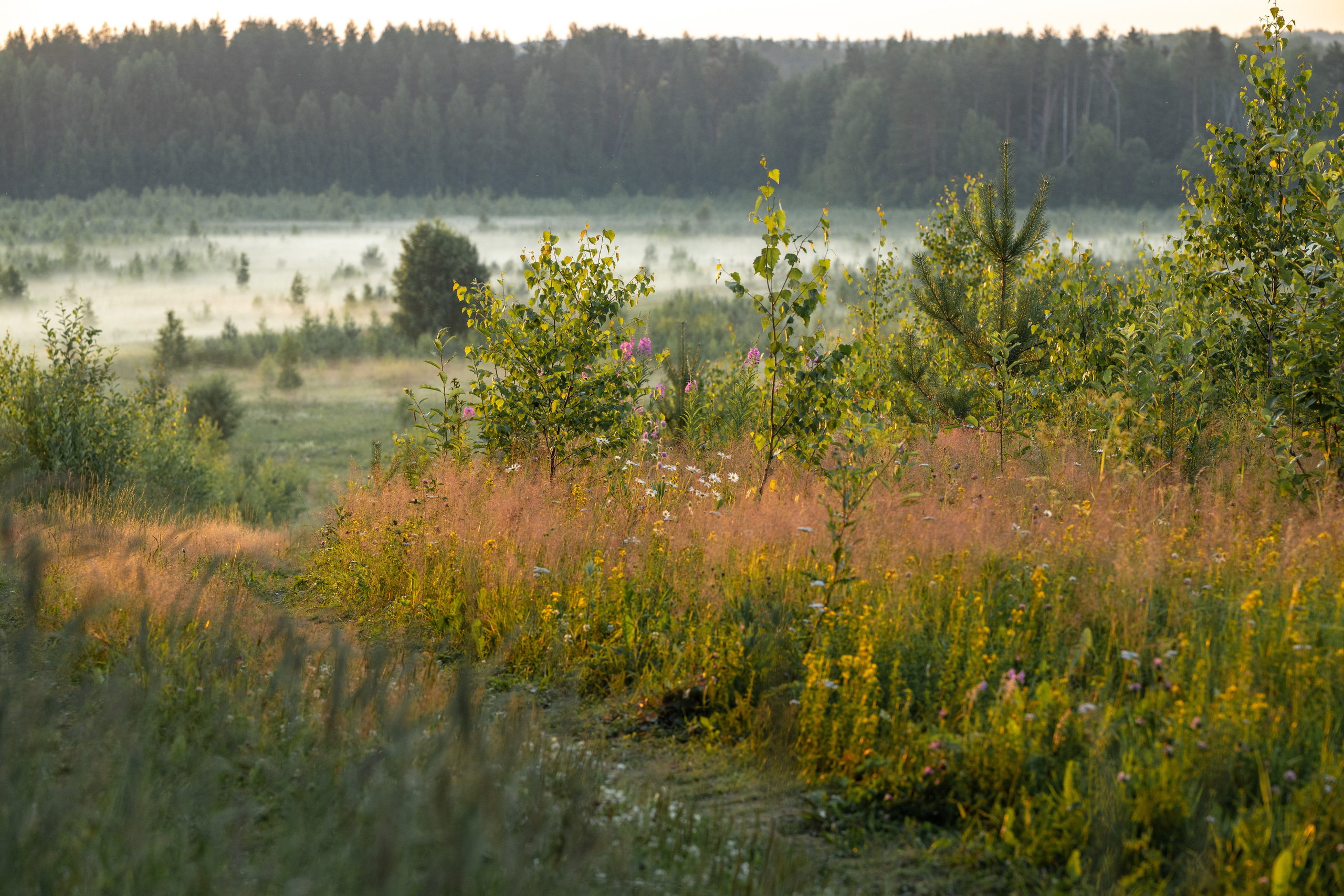 Природные пейзажи. Наталия Клевинскас портретный фотограф в Костроме
