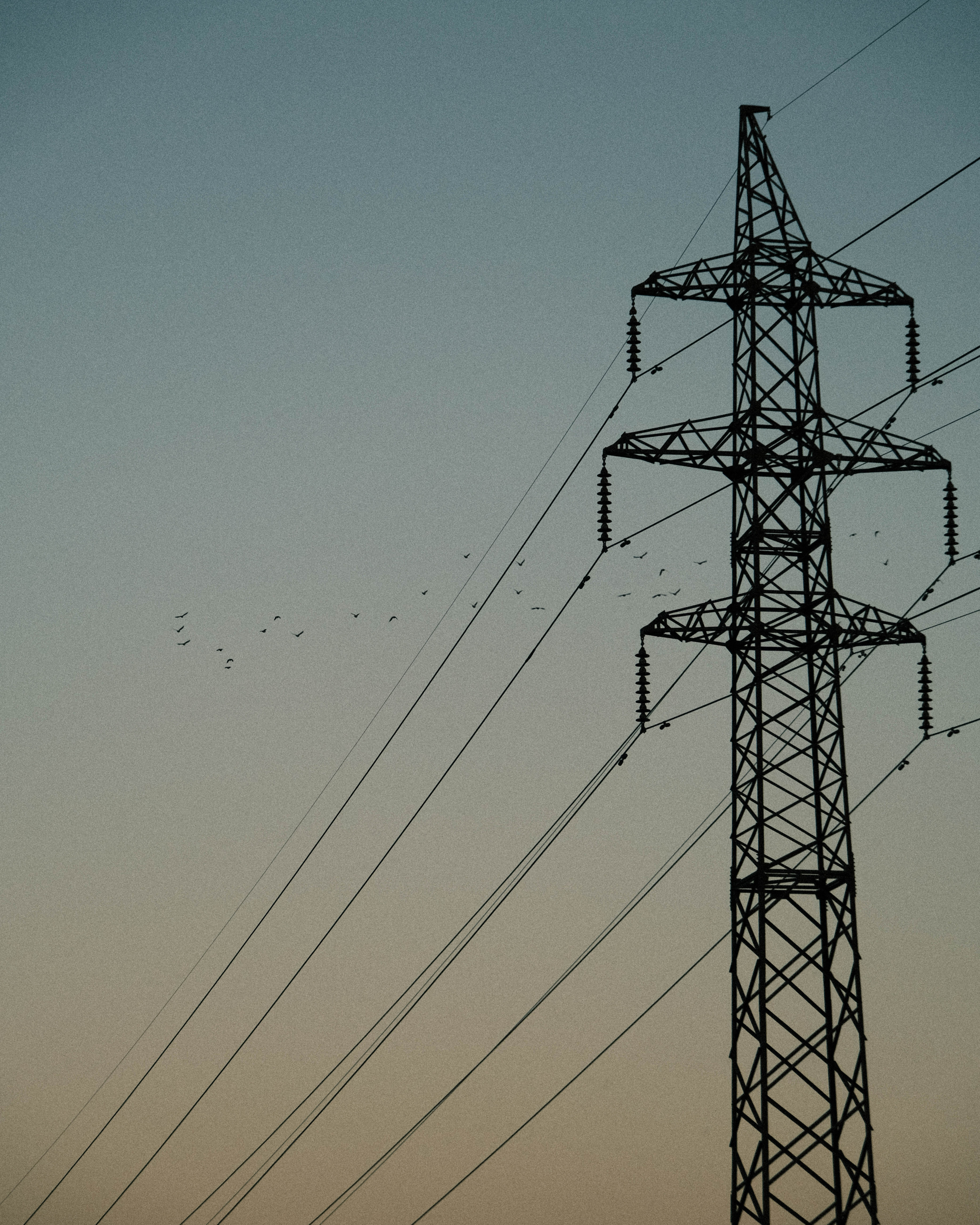 линии электропередач 
