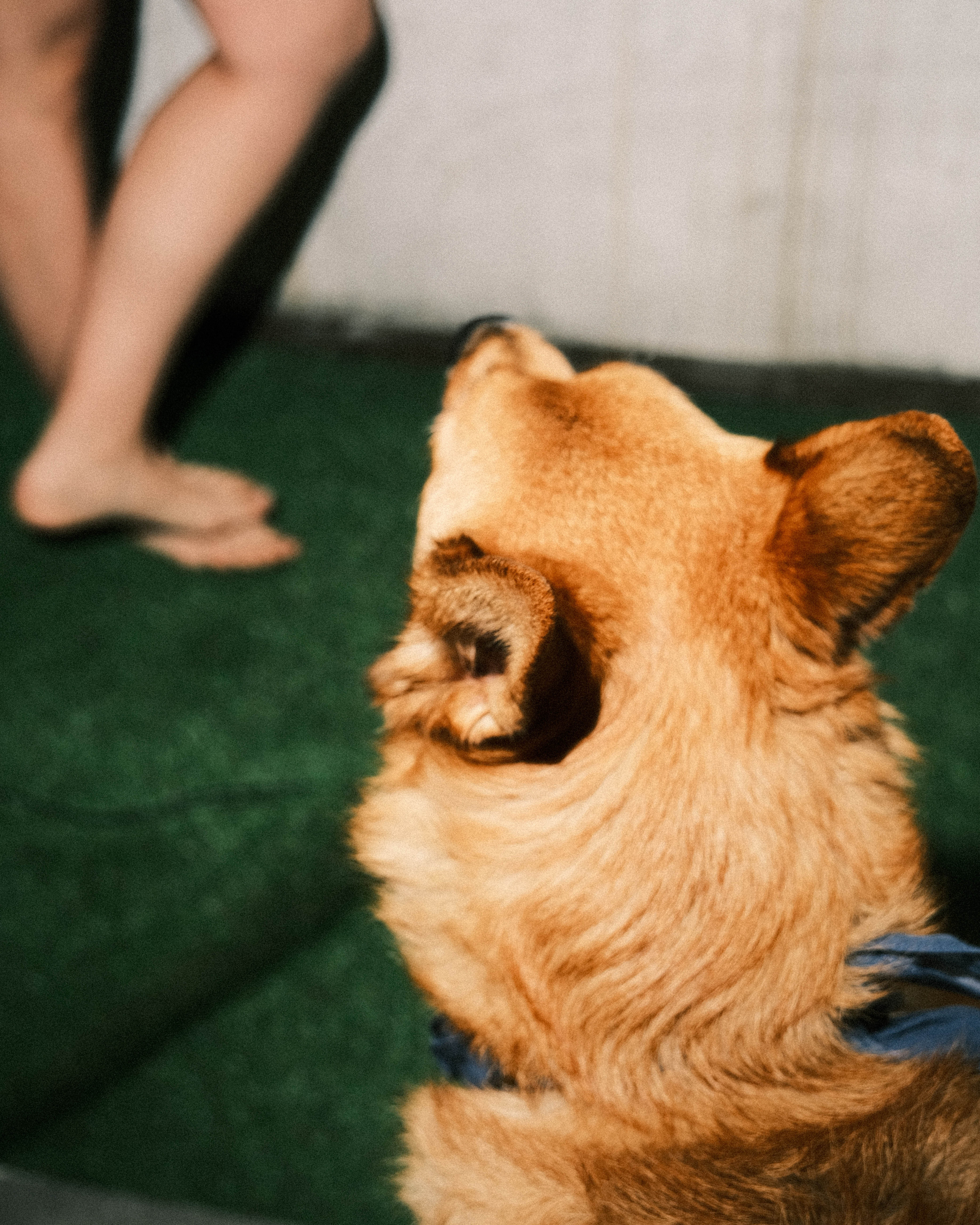 Персонально. Maria Sineva, photographer