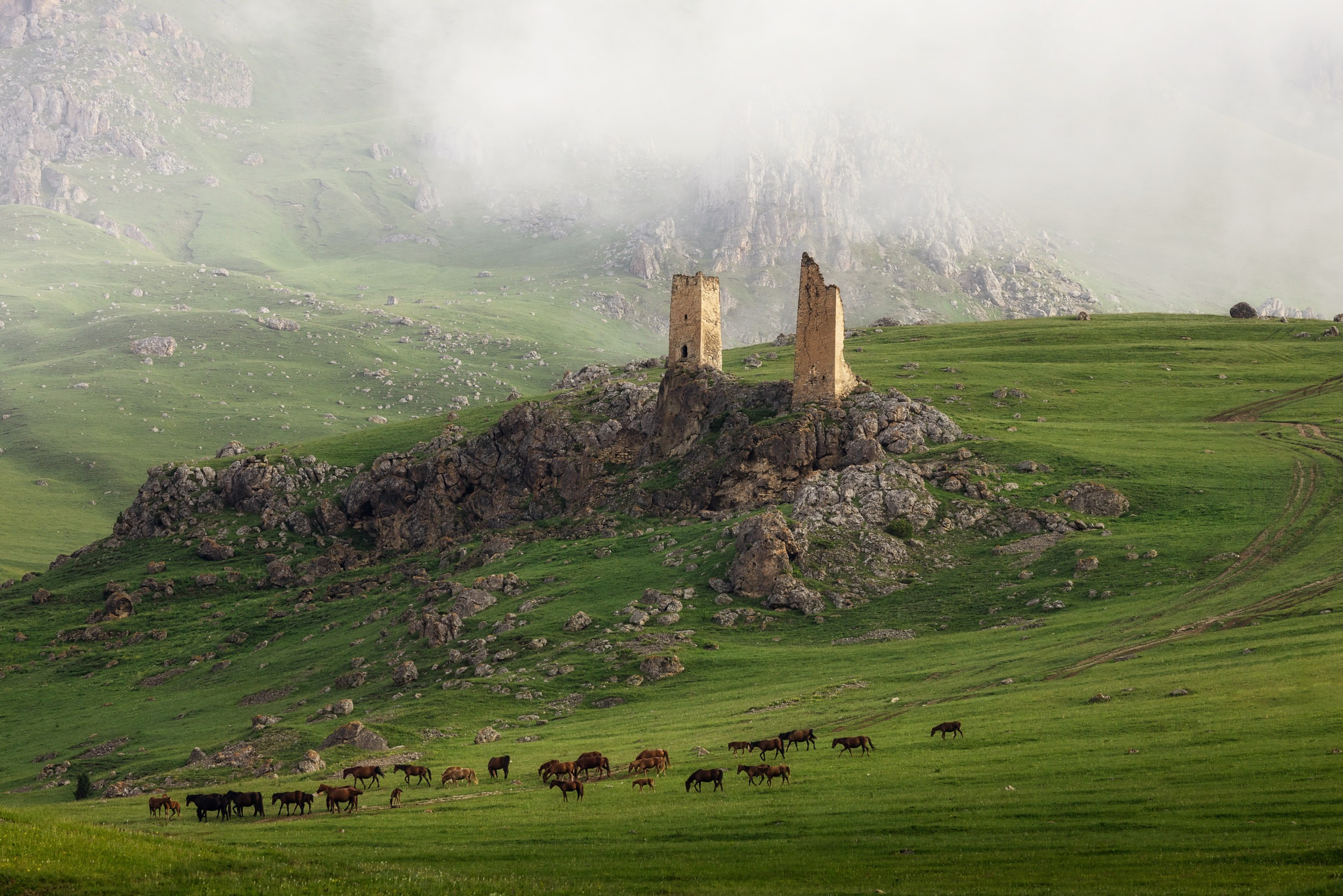 Пейзаж • Landscape. Елена Ивановой • Профессиональный фотограф