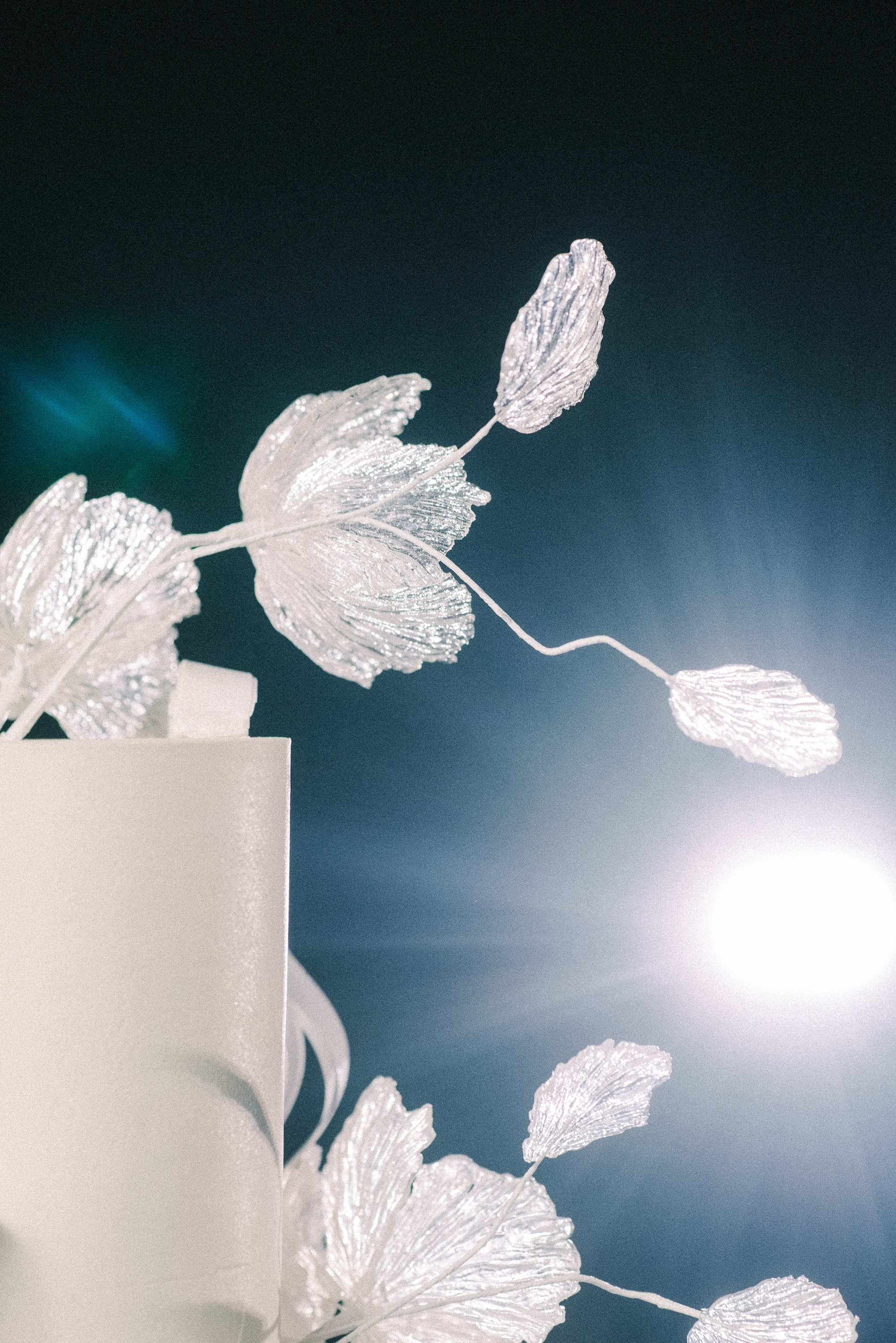 Батрадз и Софья. Курск.Анонс. Свадебный и семейный фотограф в Курске Николай Бусел