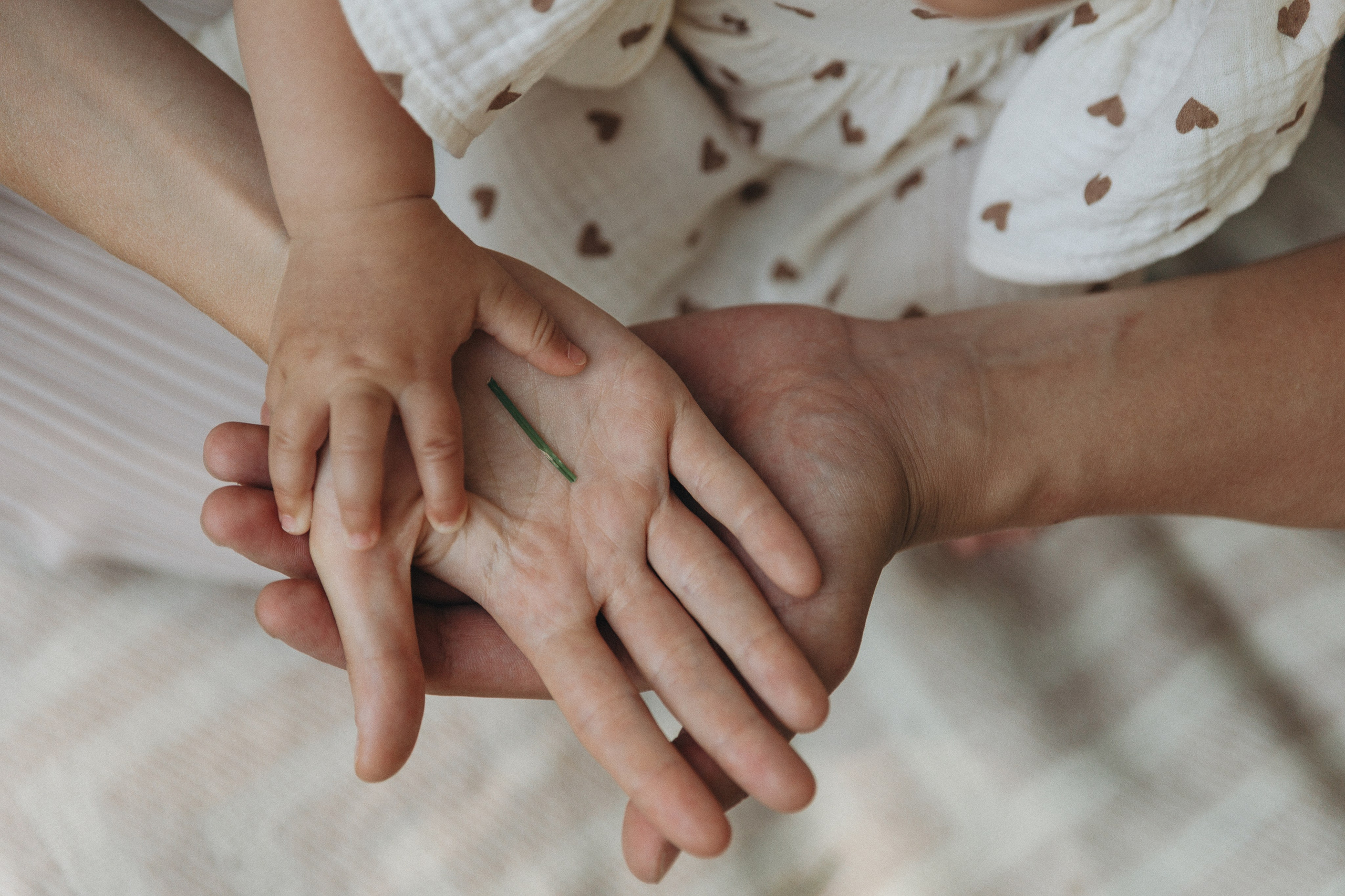 Семейные. Семейный, женский, контент фотограф в Ялте