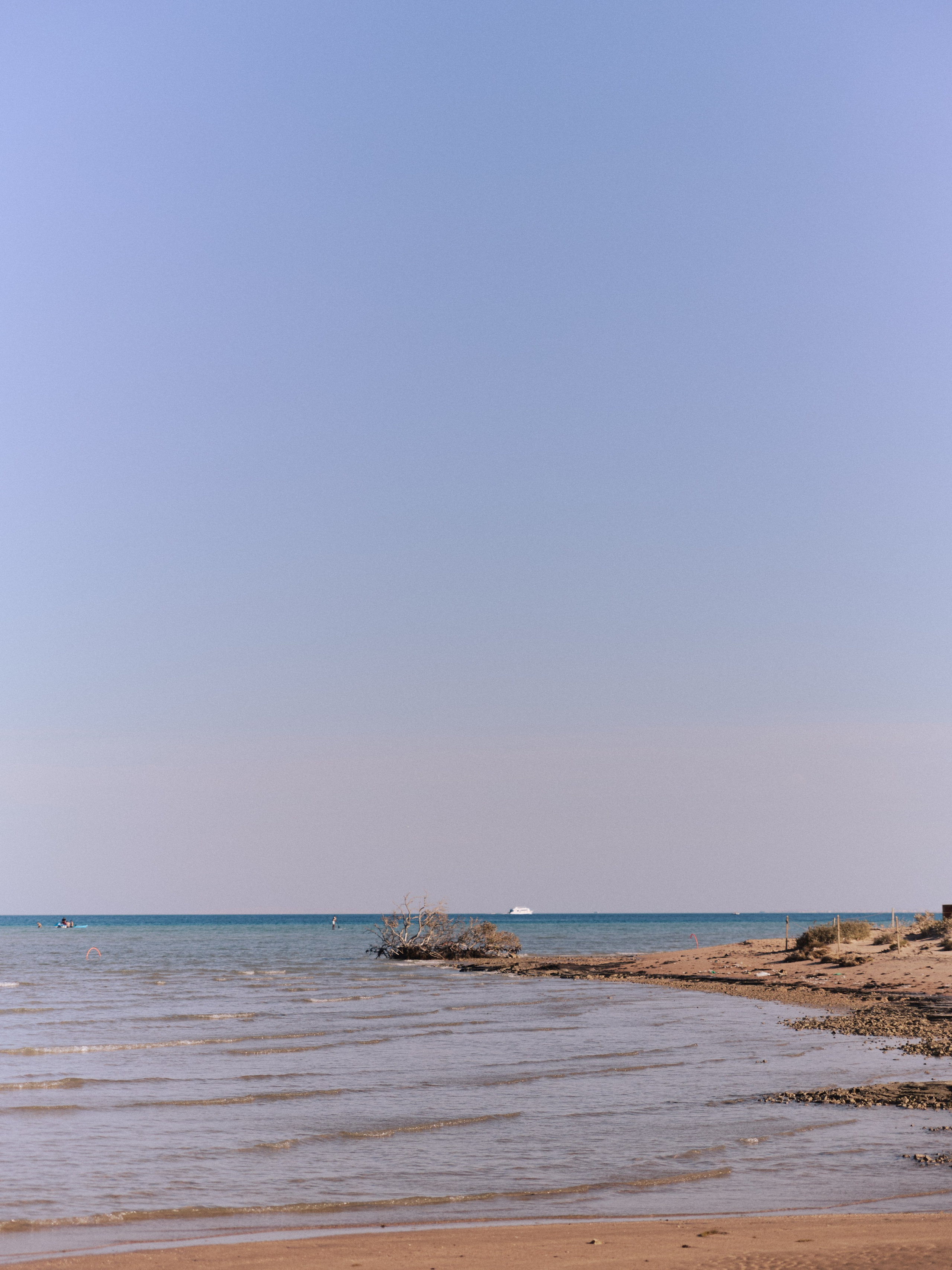 Природа сквозь. Jorgis Talè — photographer, kind person, teacher of arts and other mag