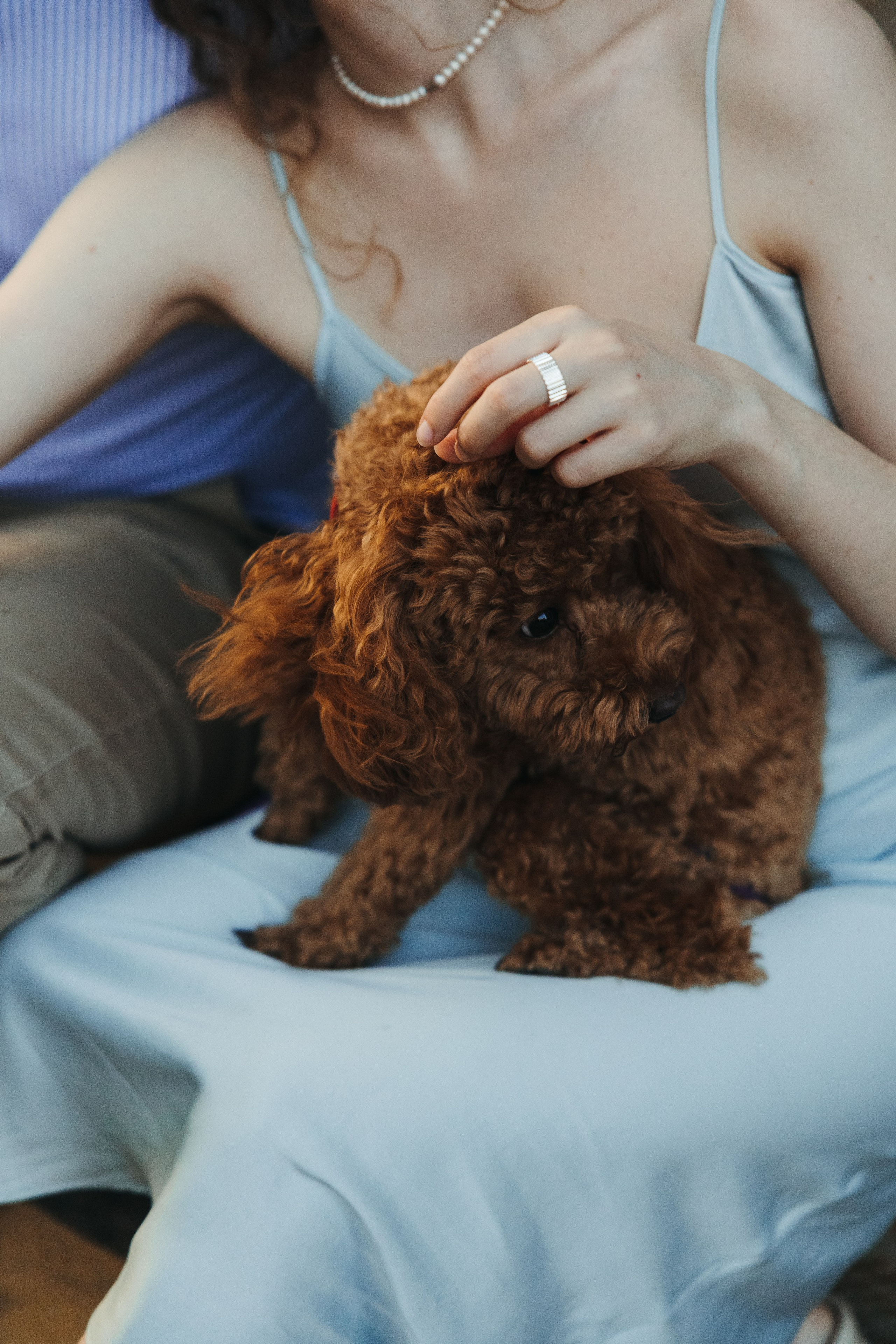 Надя и Федя. Свадебный фотограф Москва Анастасия Храмова