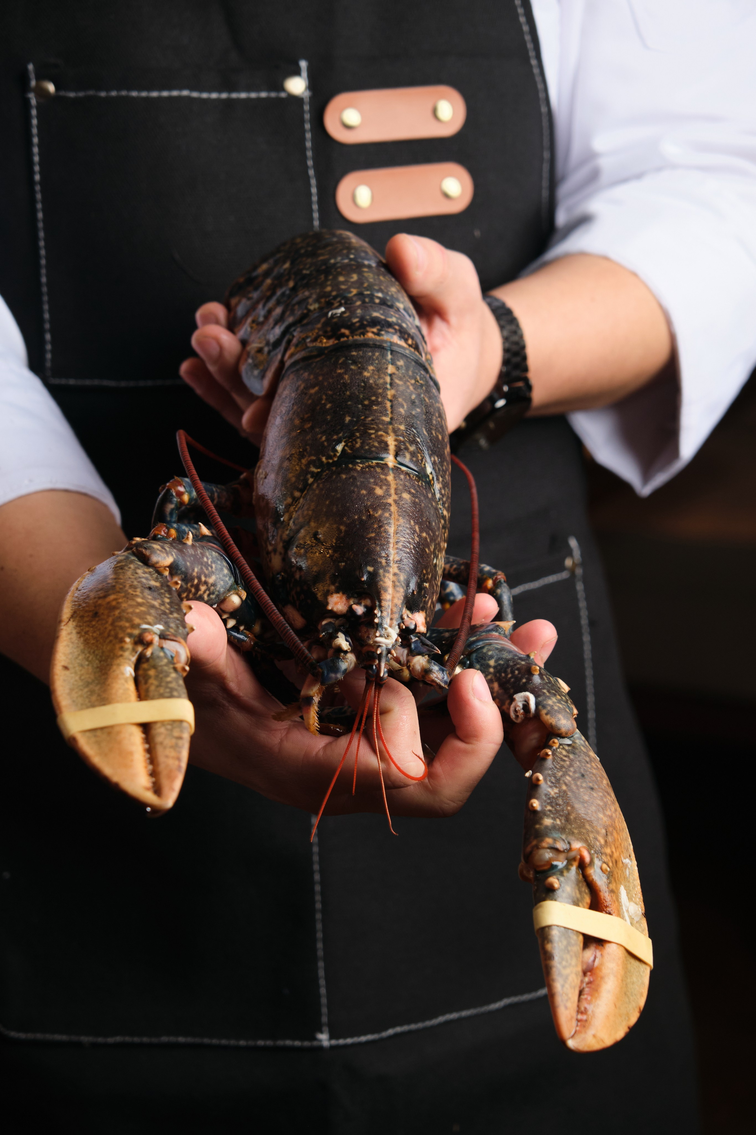 Ресторан Cantinetta Antinori Astana. Коммерческий фотограф Астана. Fashion съемка Food съемка, Reels