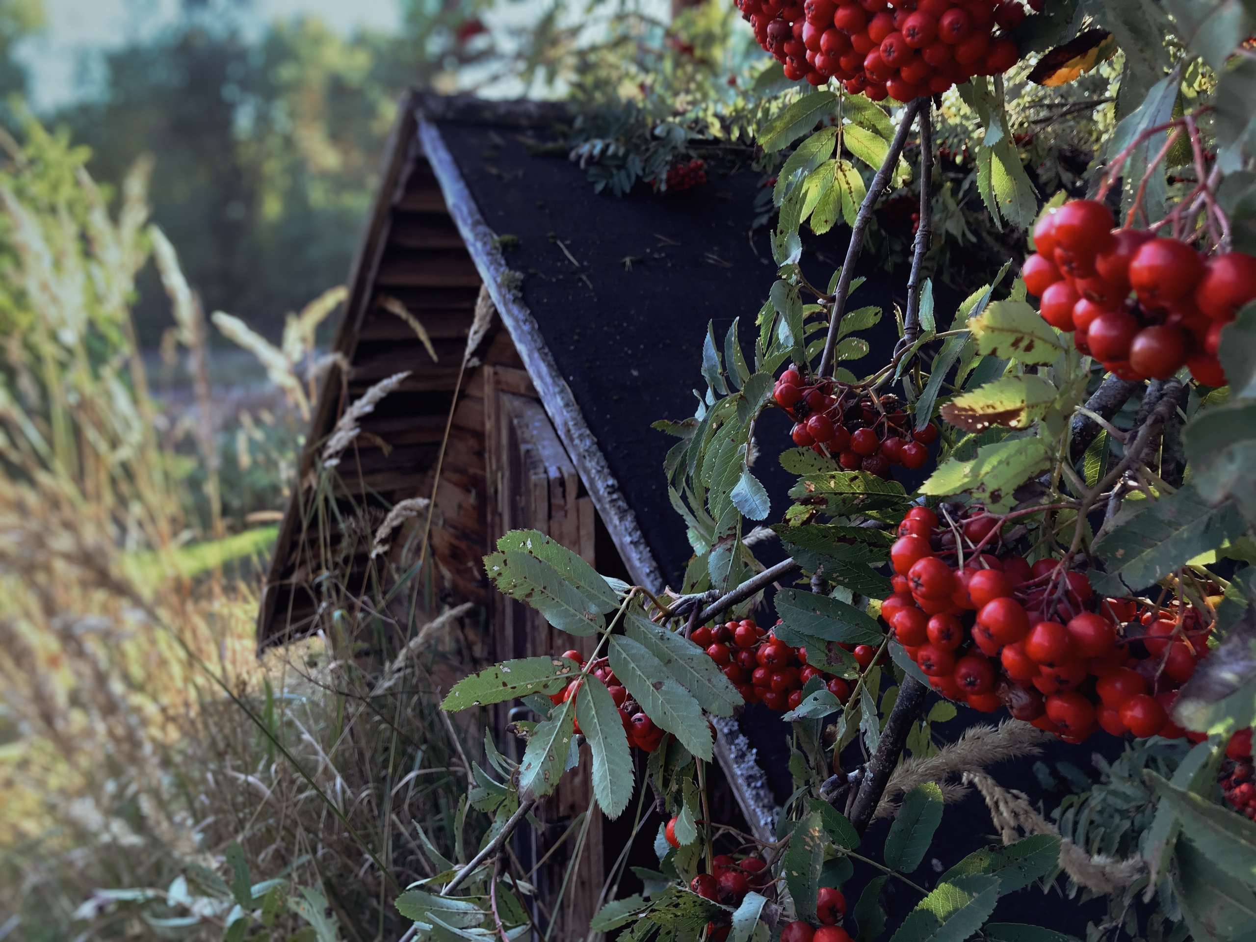 Пейзаж. Фотограф Артем Павлов