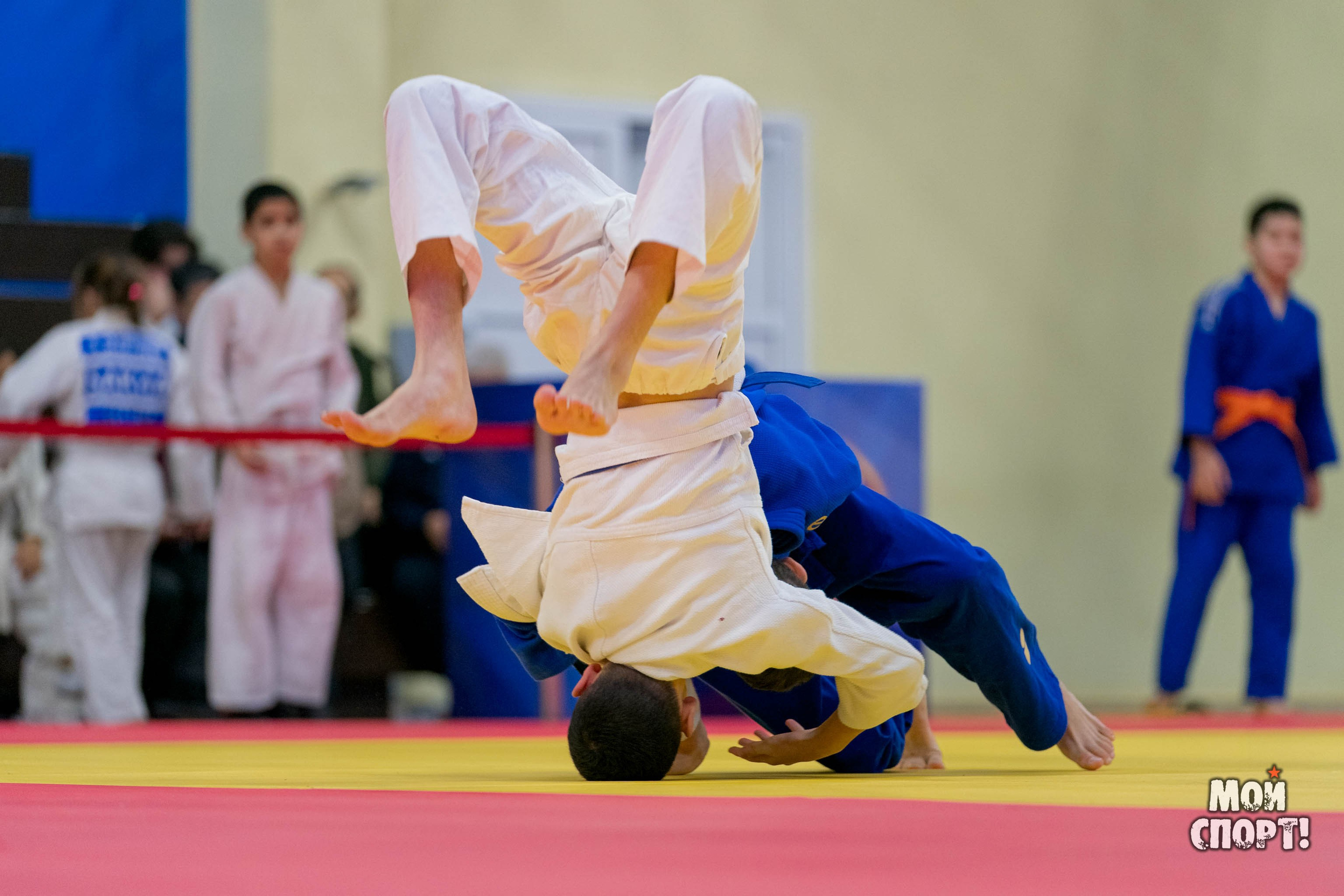 Открытый республиканский турнир по дзюдо на призы ГБПОУ РС (Я) «РУ (К)ОР им Р. М. Дмитриева». Студия «Мой Спорт!» — все о спорте в Якутии