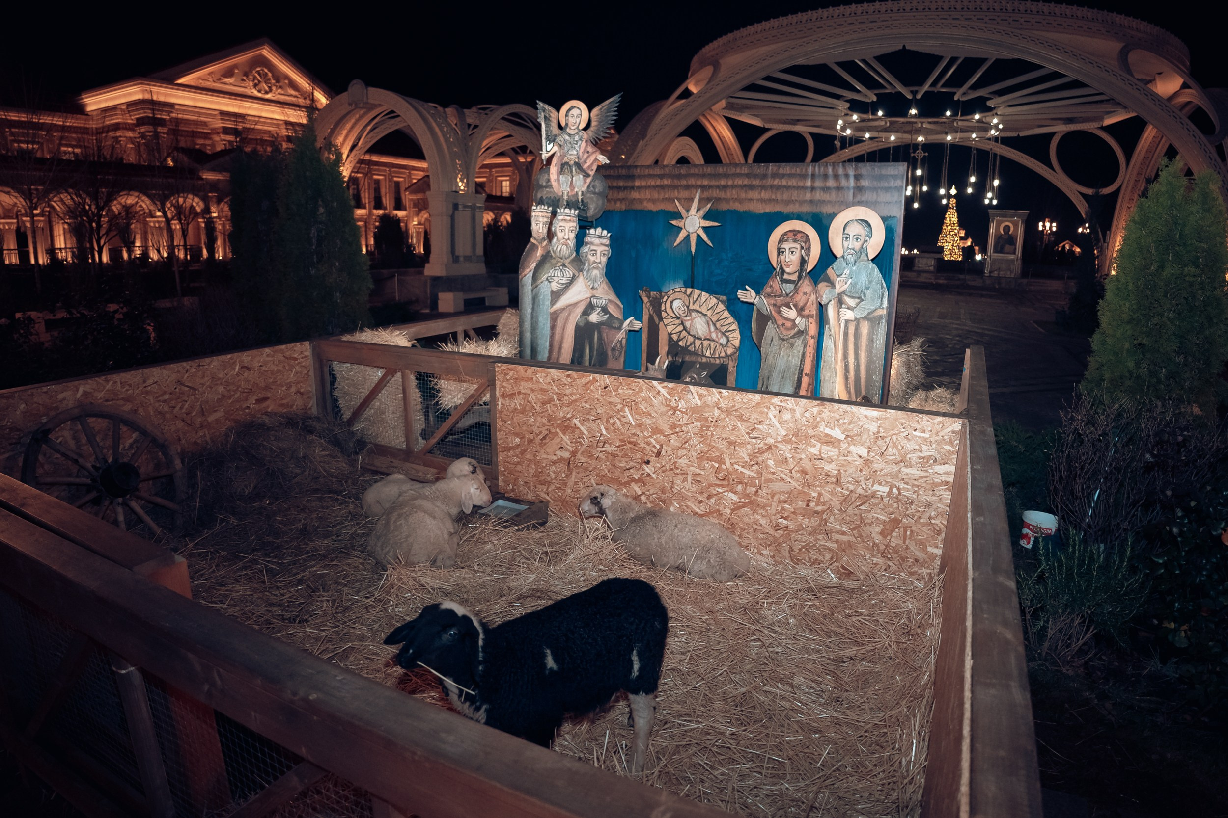 Божественная Литургия в новогоднюю ночь 2025 г, Херсонес Севастополь. Церковный фотограф Севастополь