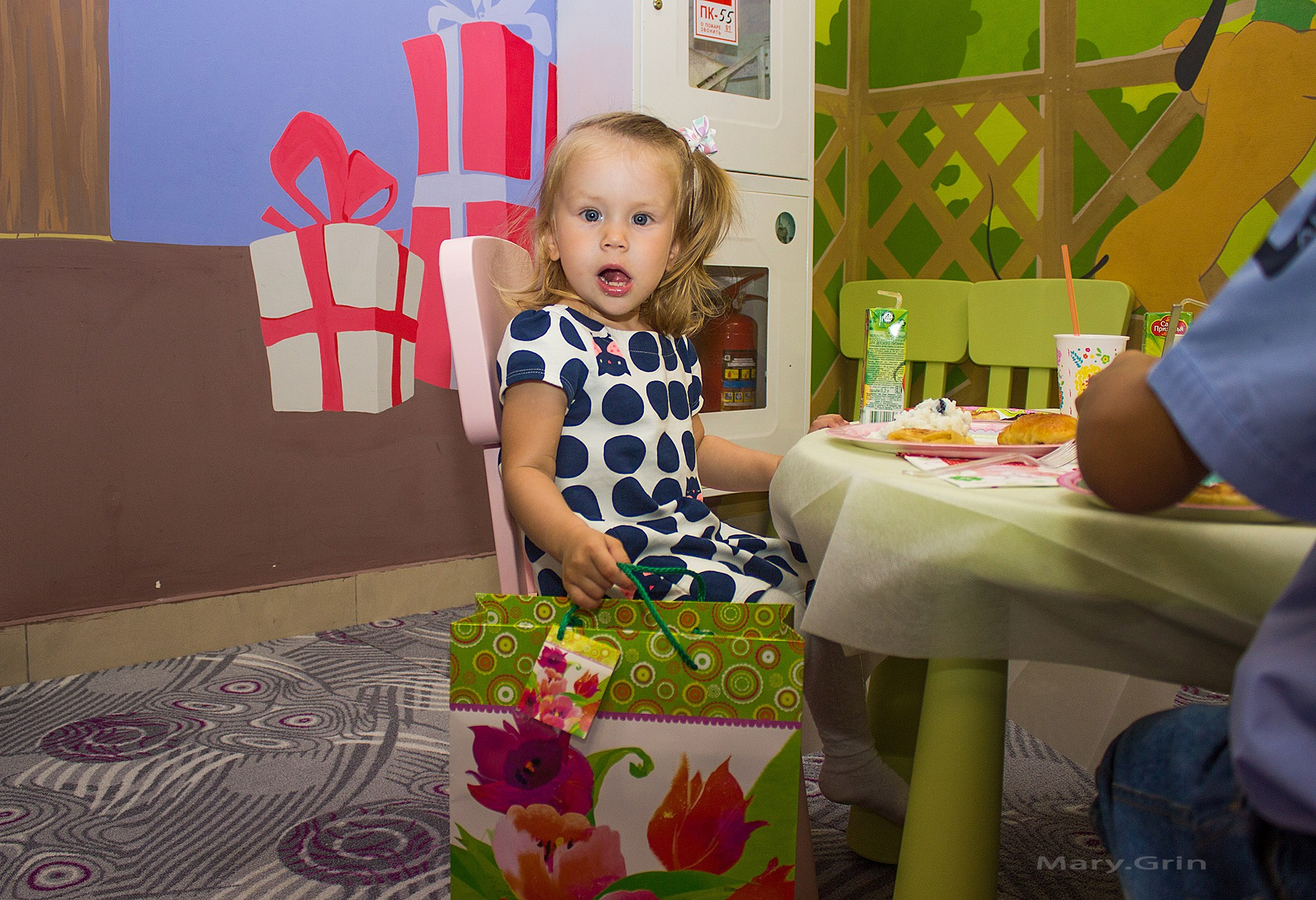 День рождения в стиле свинки Пеппа в Изумрудном городе. Детский и семейный фотограф, фотограф мероприятий Нижний Новгород
