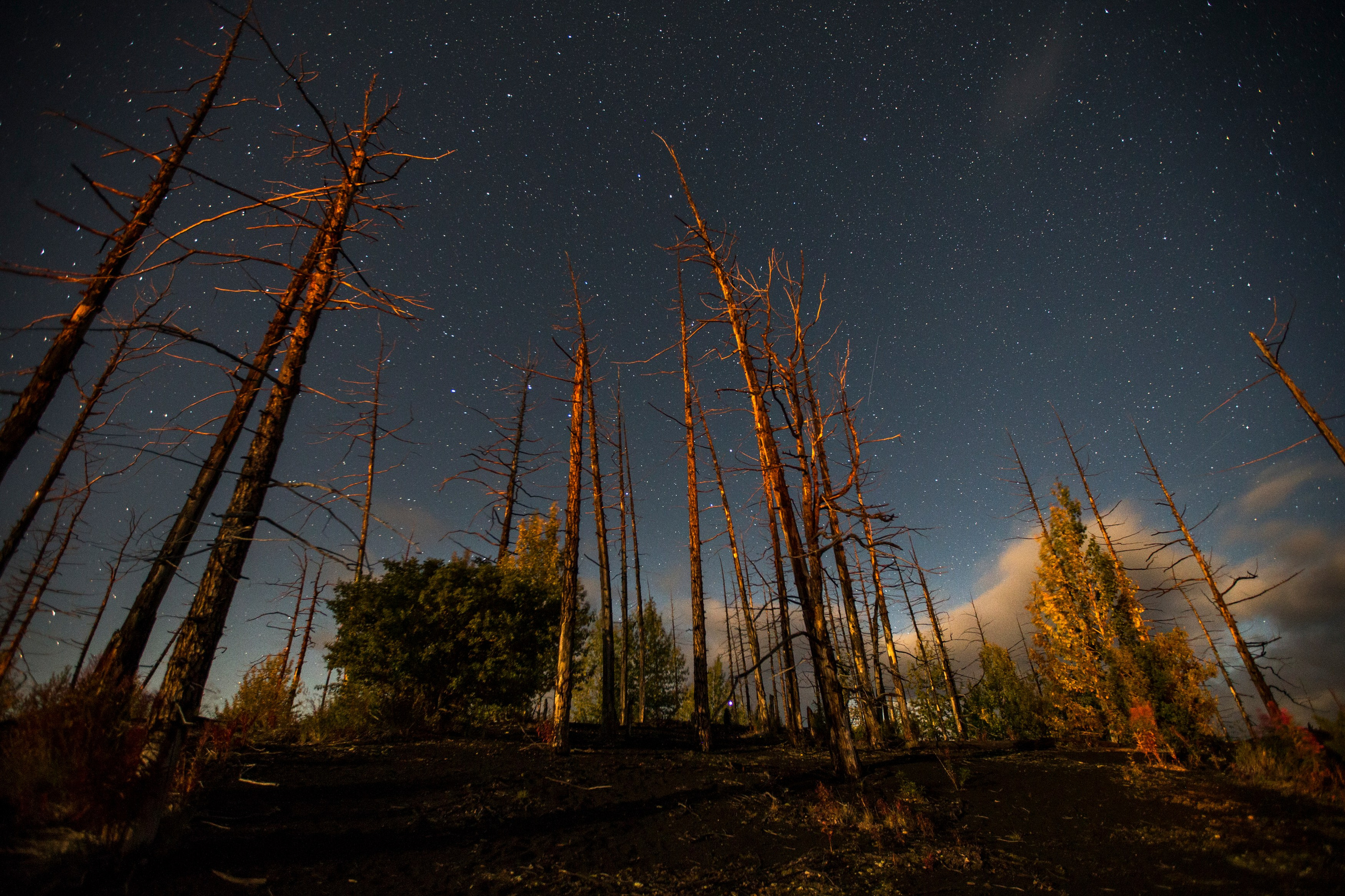 Фототур на Толбачик — марсианские ландшафты Камчатки. Время Камчатки: чтобы найти свой путь, нужно скорость умножить на время
