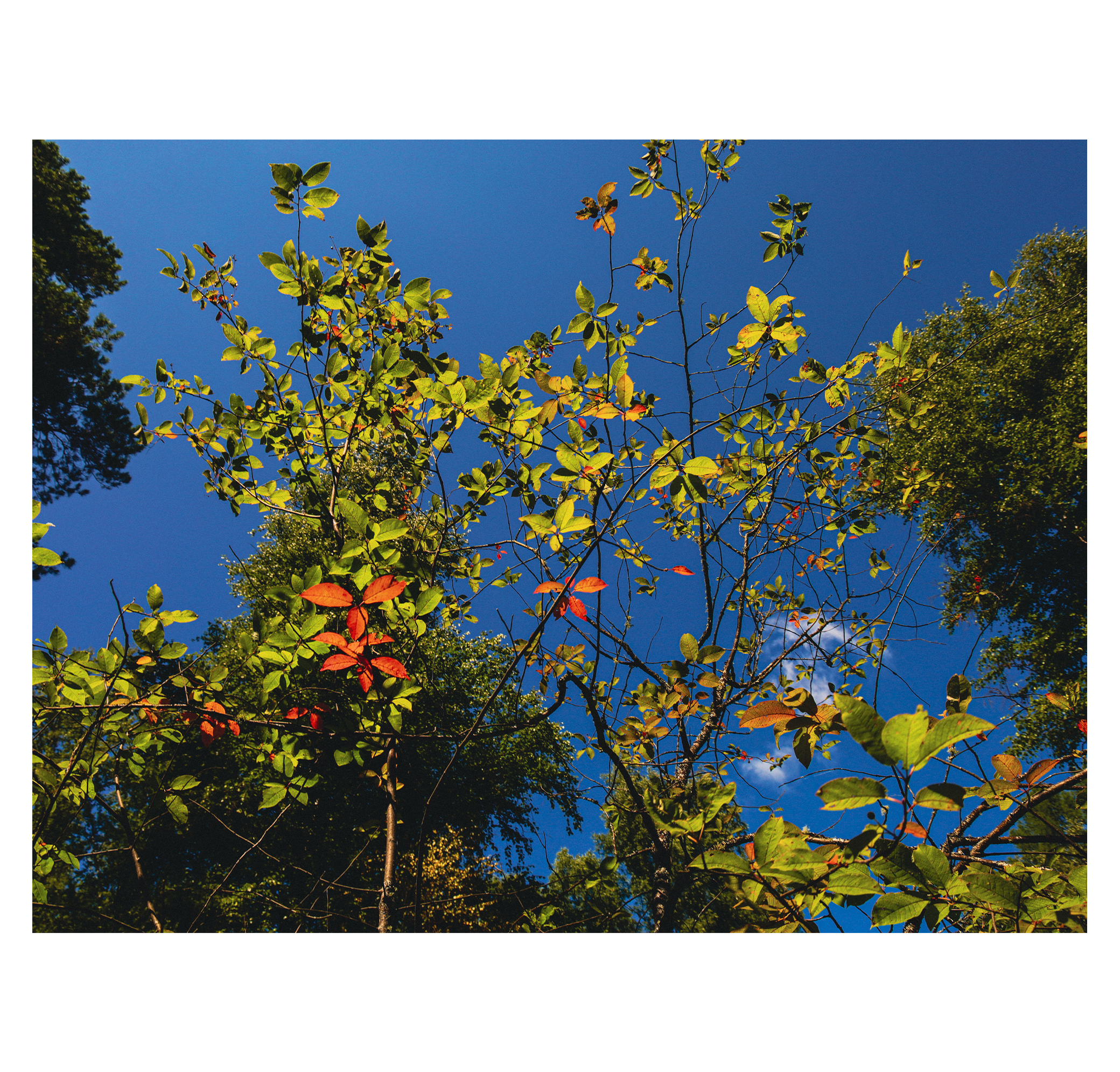 Summer hike. Фотограф/дизайнер в Екатеринбурге Хитрый Дмитрий