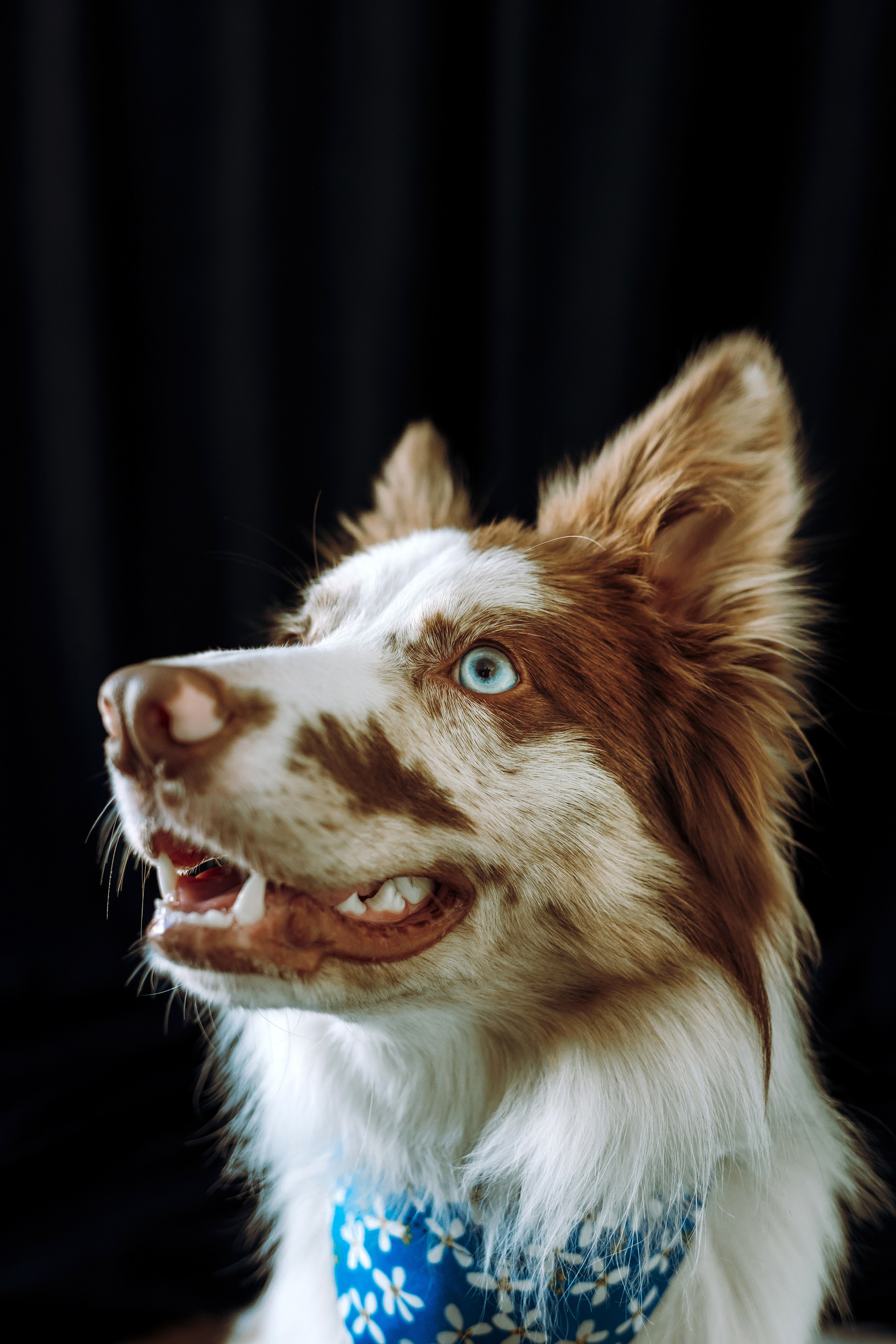 День рождения Айко