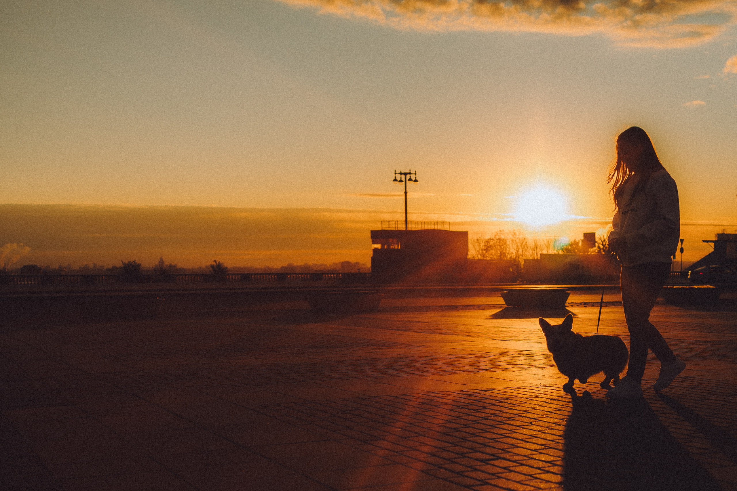 Пуговка и ее семья