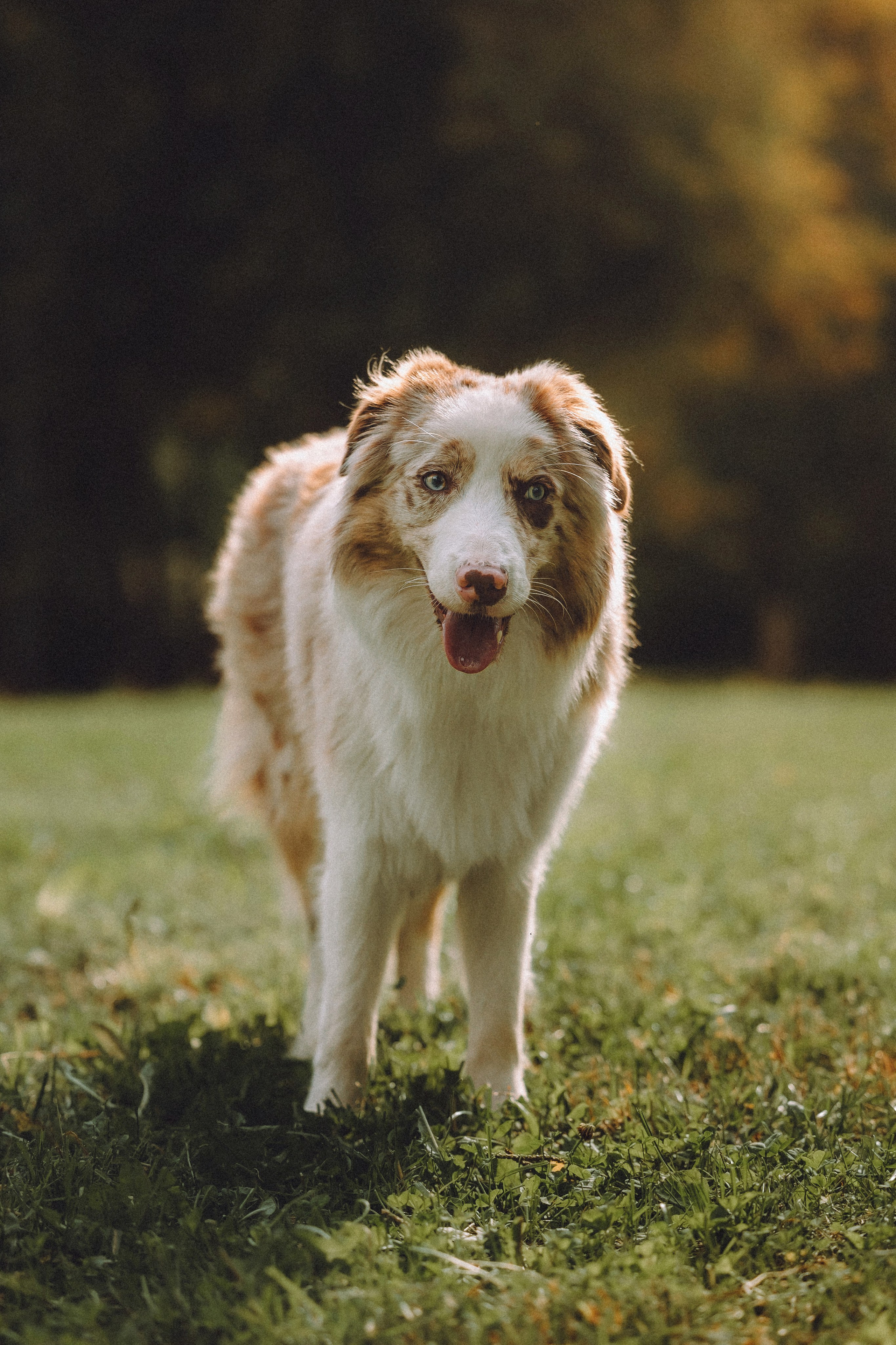 Один и его семья