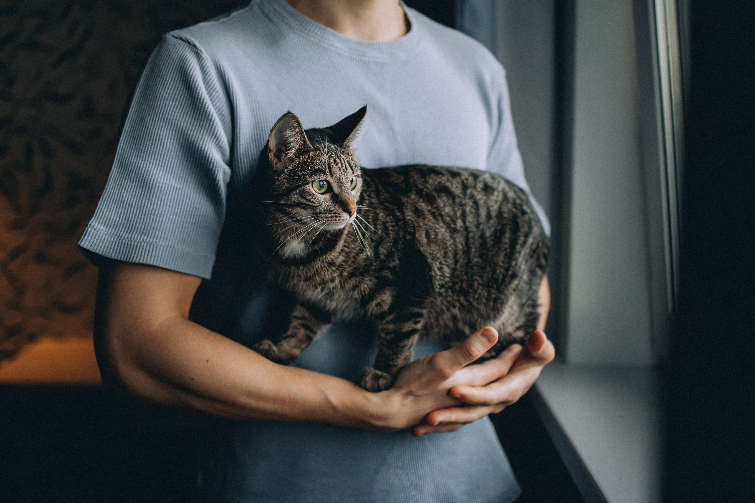 Рыся, Кепа и их семья