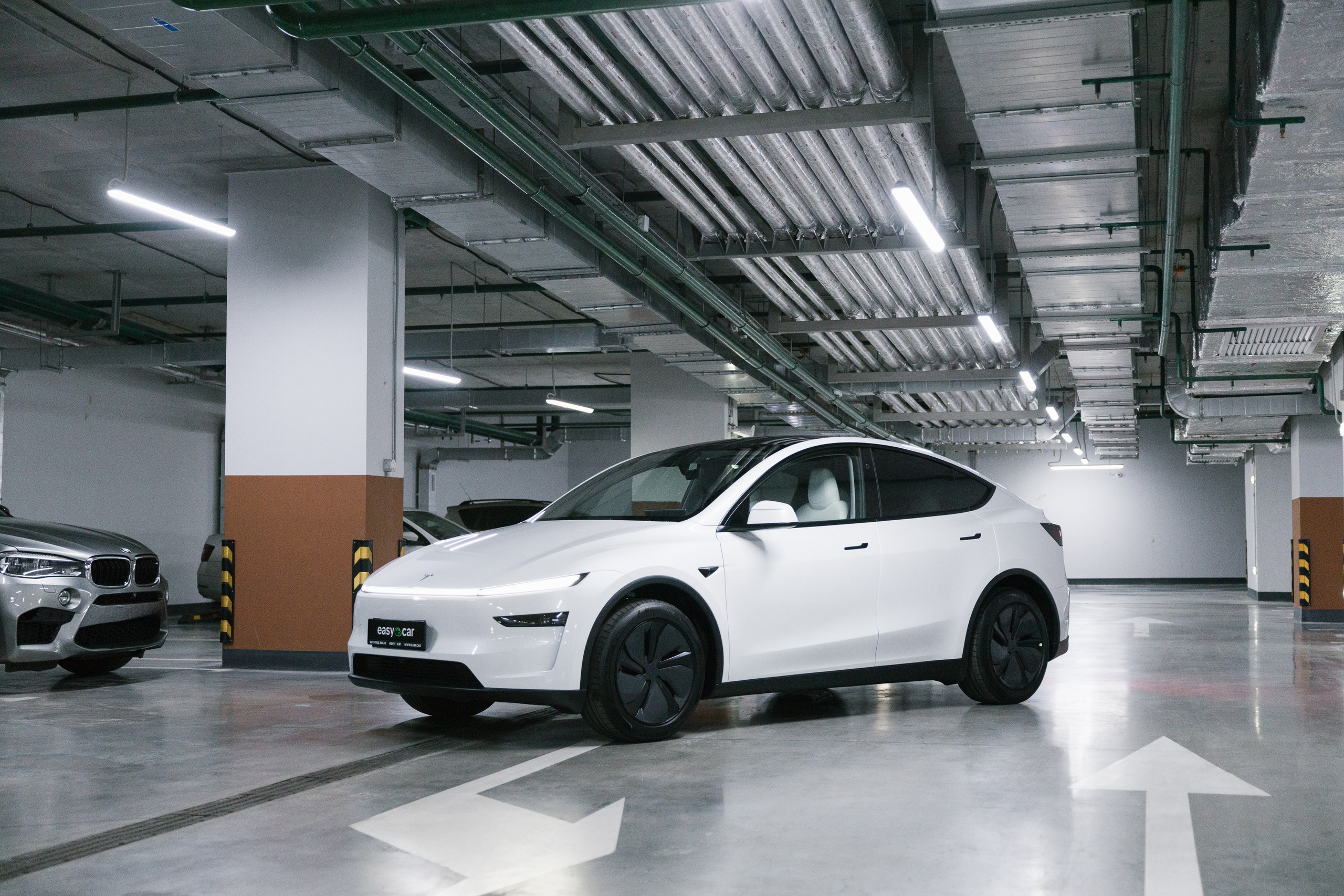 Model Y+. Эстетика Sveta