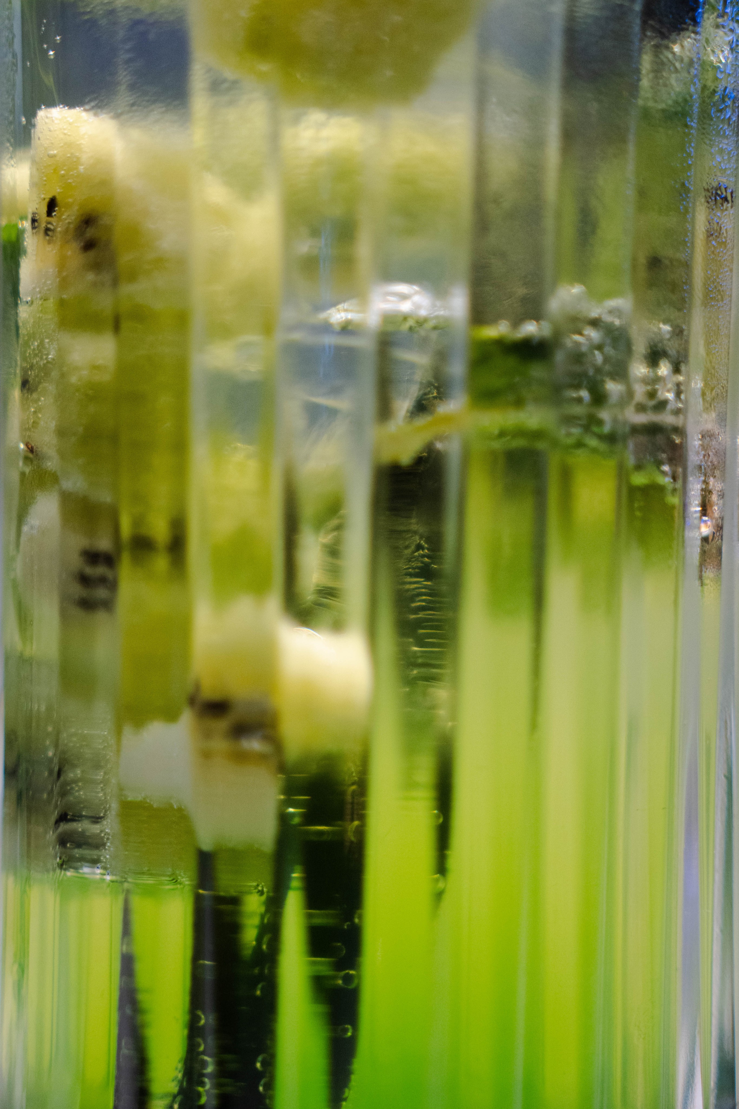 Предметная съемка. Oyallu.ru