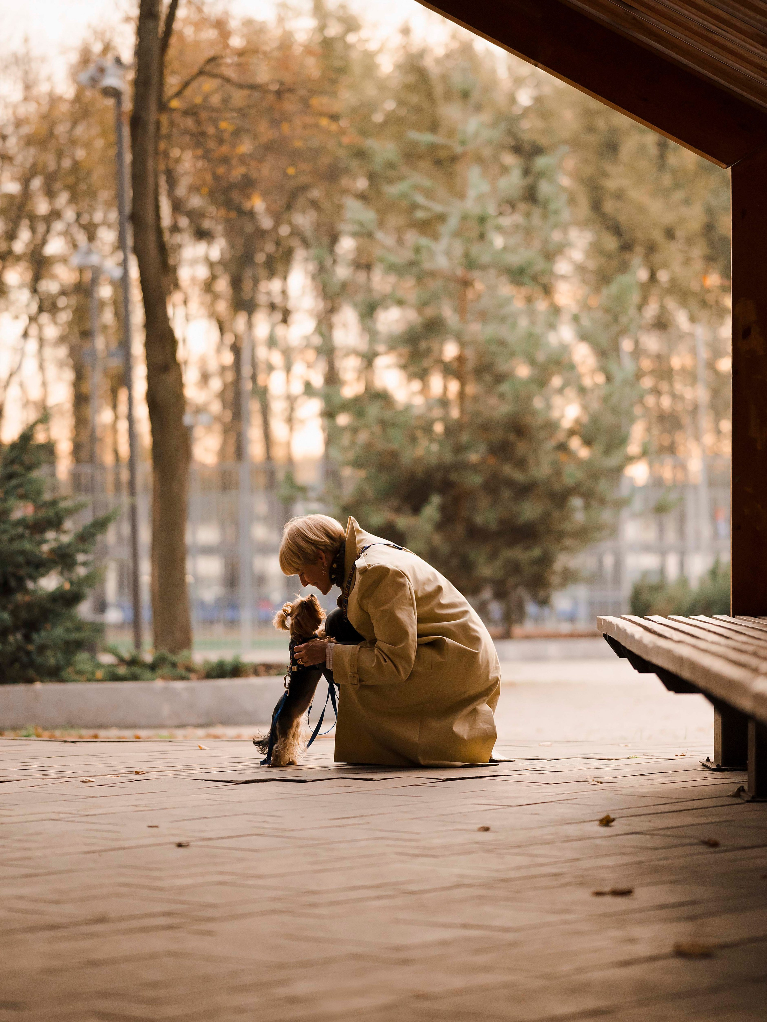 Шарик дог. Фотограф- анималист Александра Матвеева