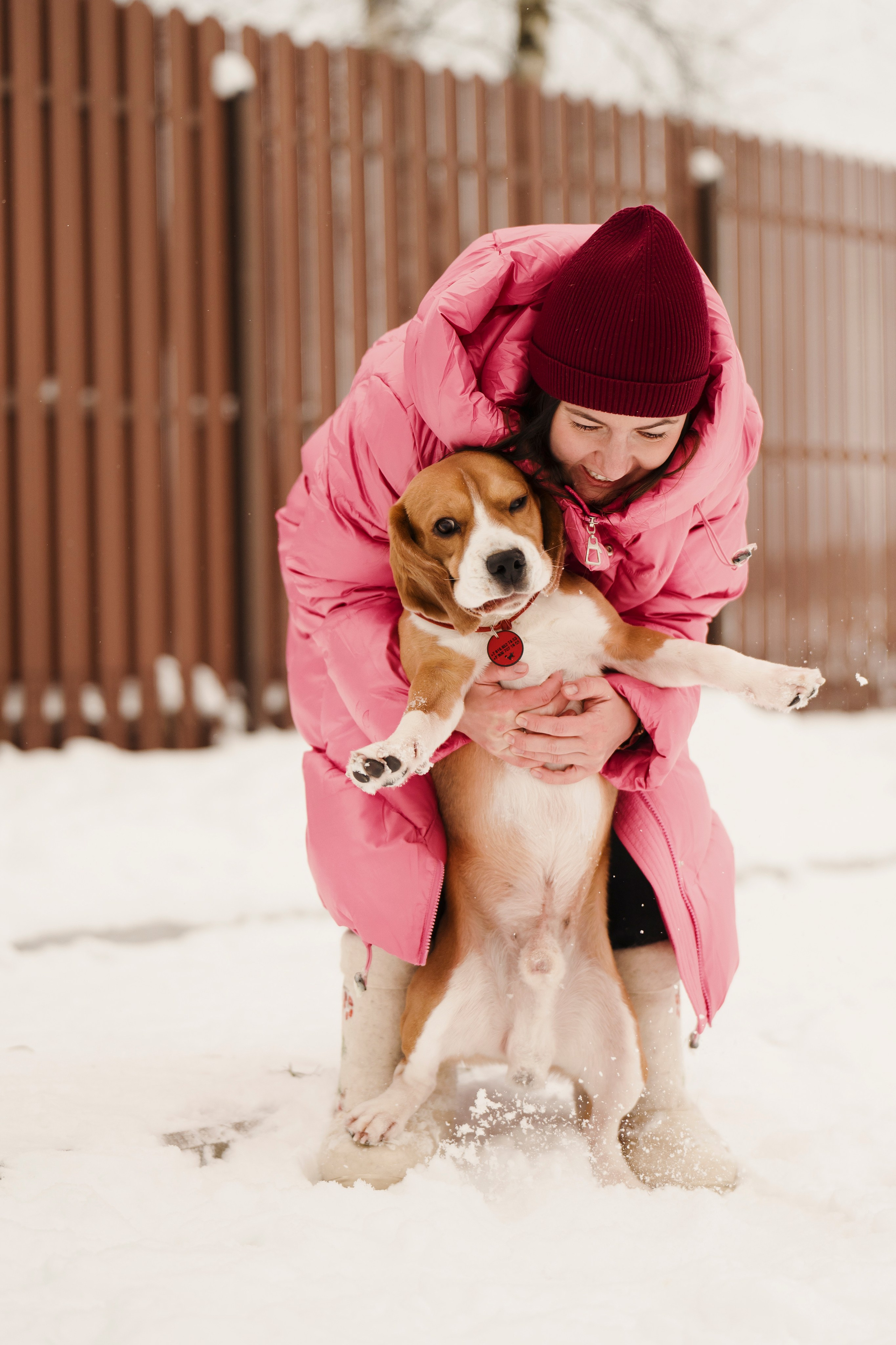 Зоогостиница Мишка. Фотограф- анималист Александра Матвеева