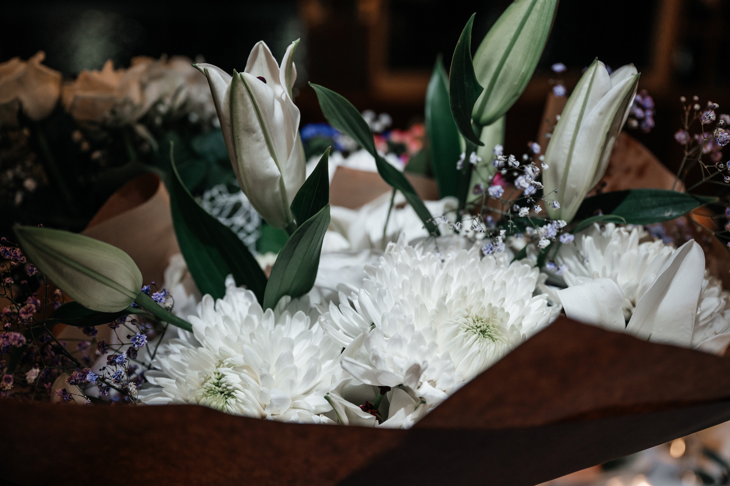 Анастасия + Дмитрий