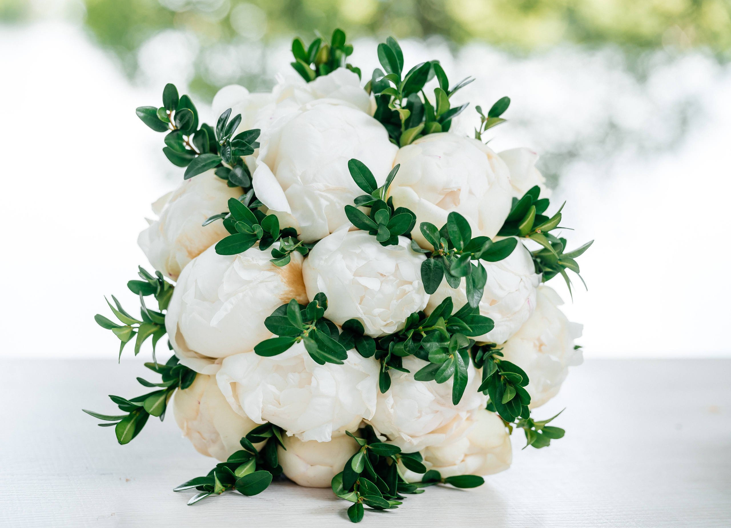 Анастасия + Кирилл