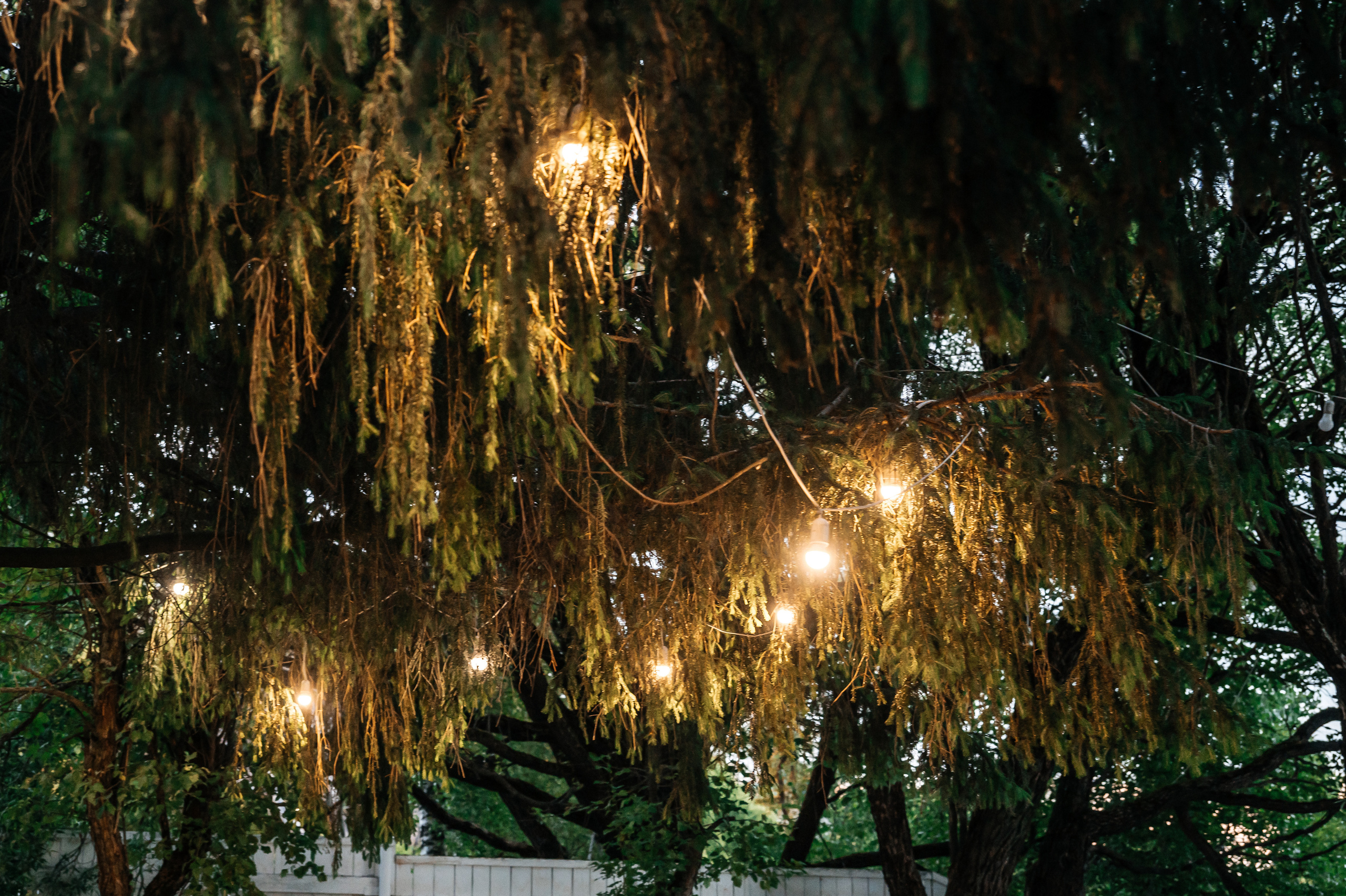 Анастасия + Кирилл