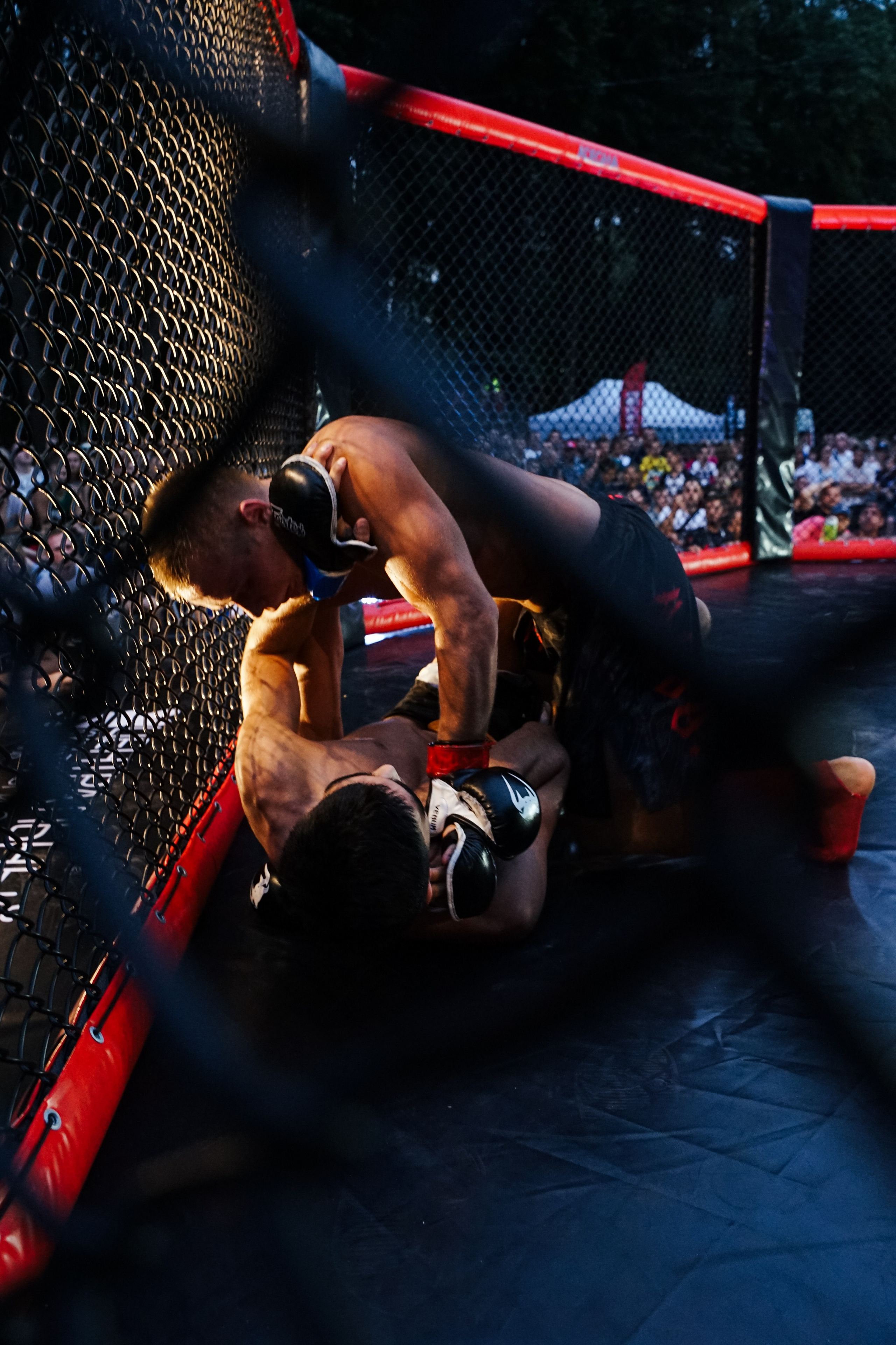 Вечер боев в ЦПКиО. Фотограф Надежда Погребняк | Рязань | Москва