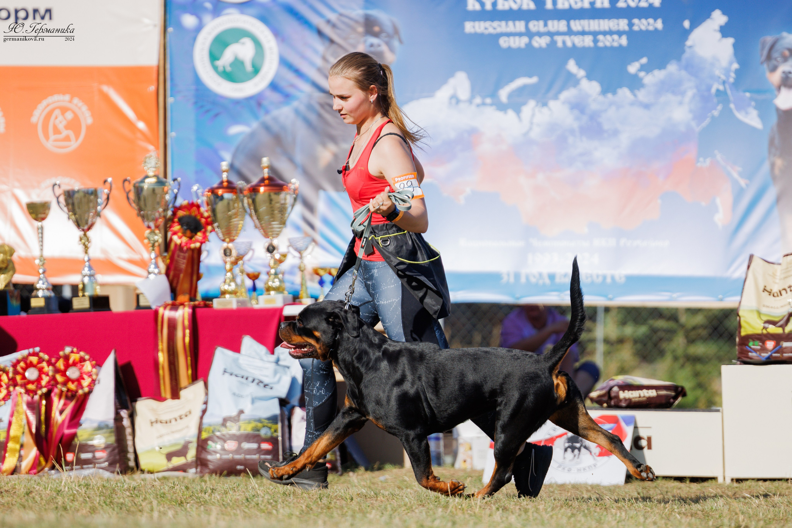ПК и КЧК ротвейлеры Тверь 6-7.07.2024. Фотограф-анималист Юлия Германика