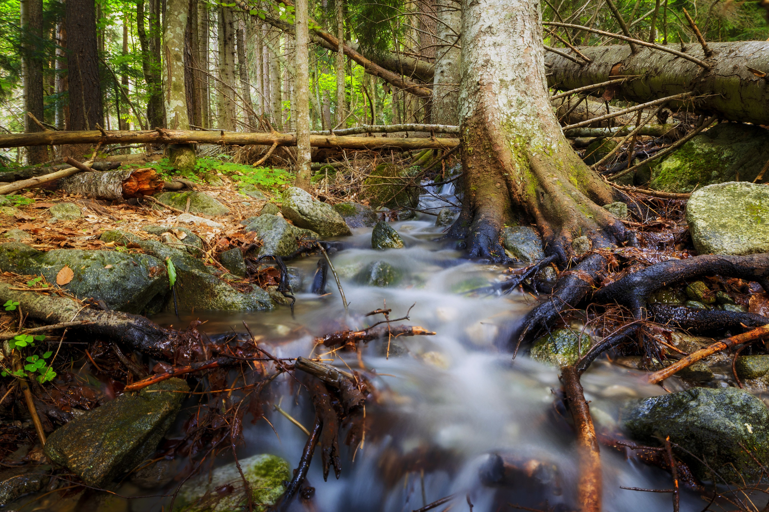 Домбай. Фотохудожник Артём Парамонов