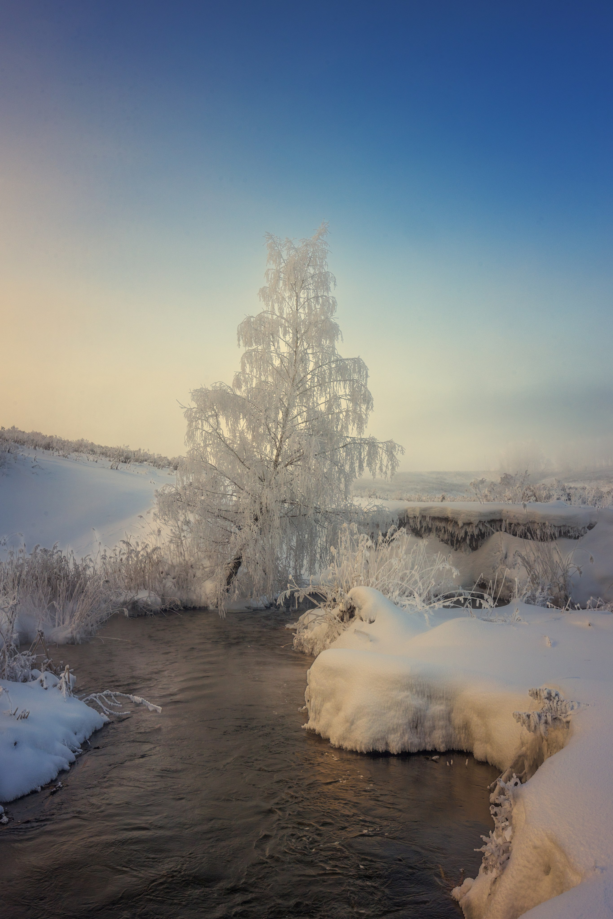 Щекинский район. Фотограф Артём Парамонов