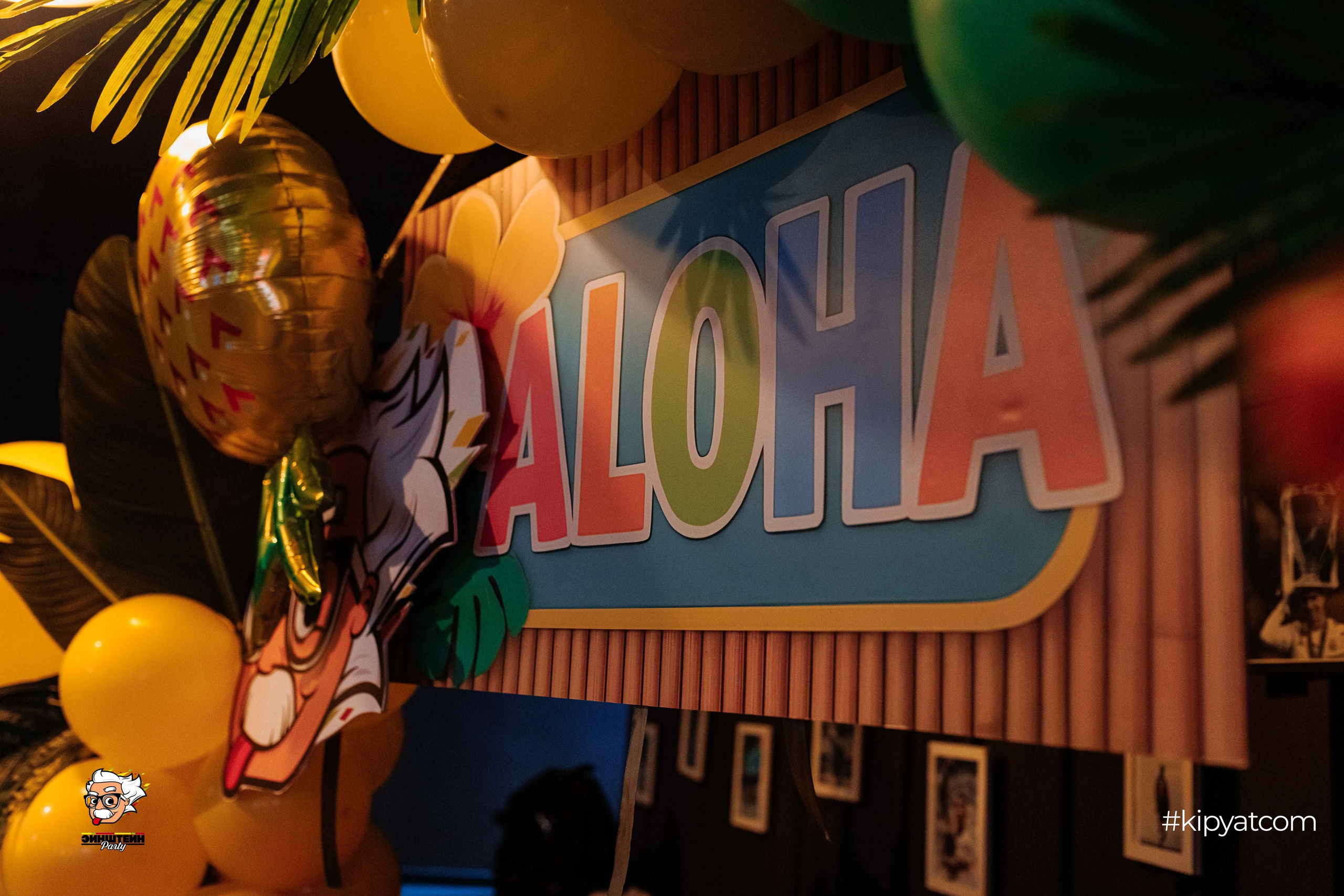 Эйнштейн Party