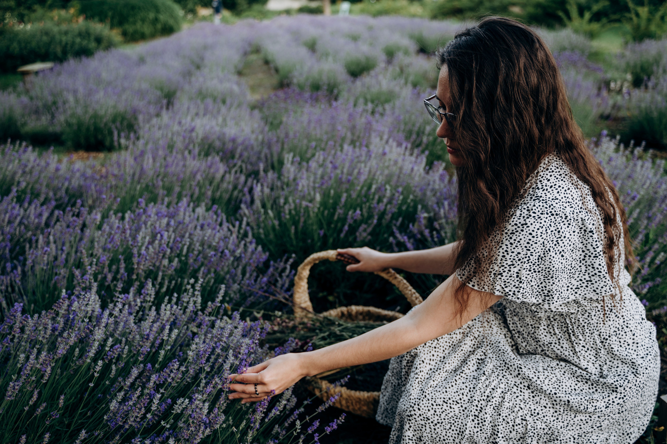 В объятиях лаванды. Семейный и детский фотограф Анастасия Монченко