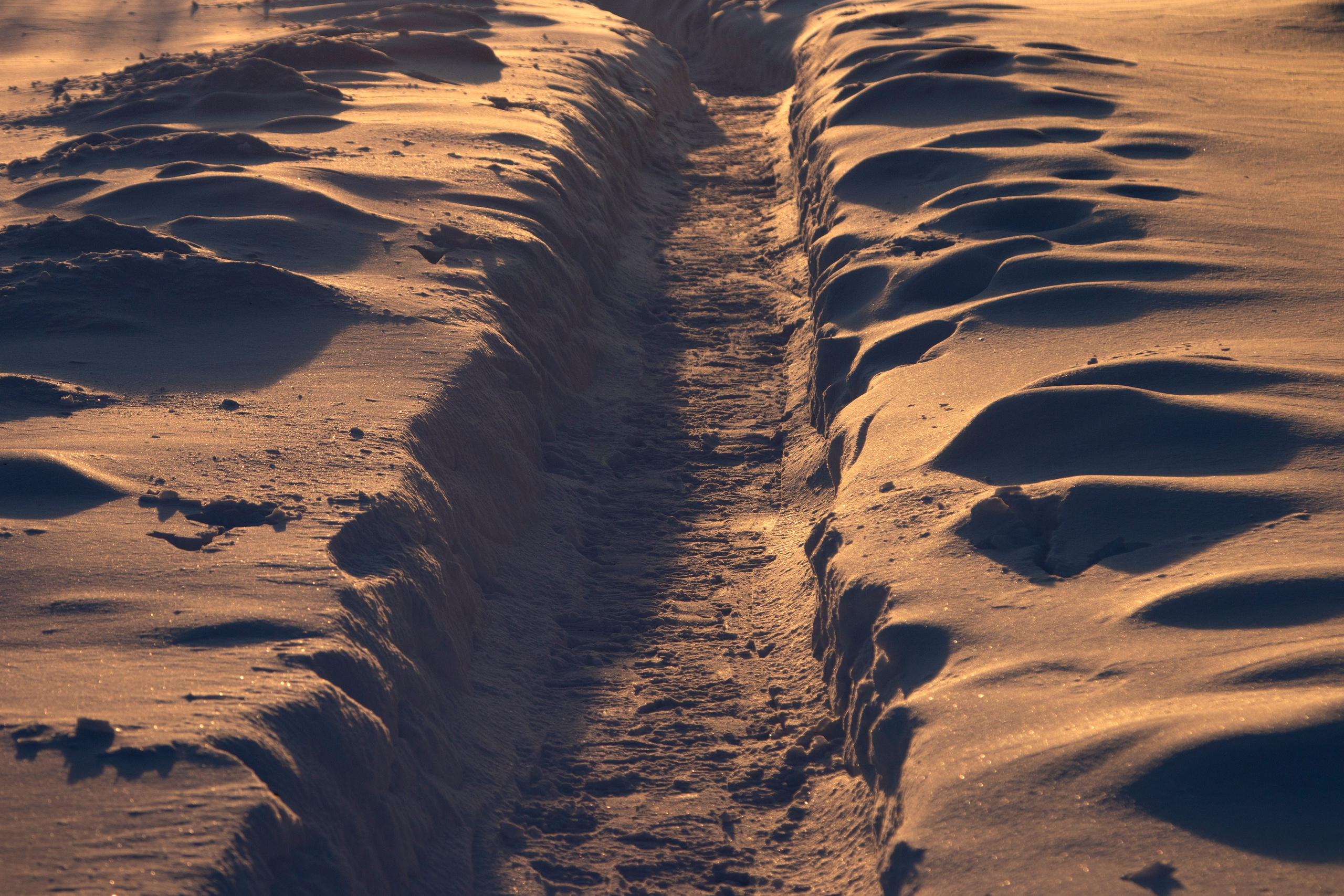 Фото. Фотограф Лагутин Анатолий