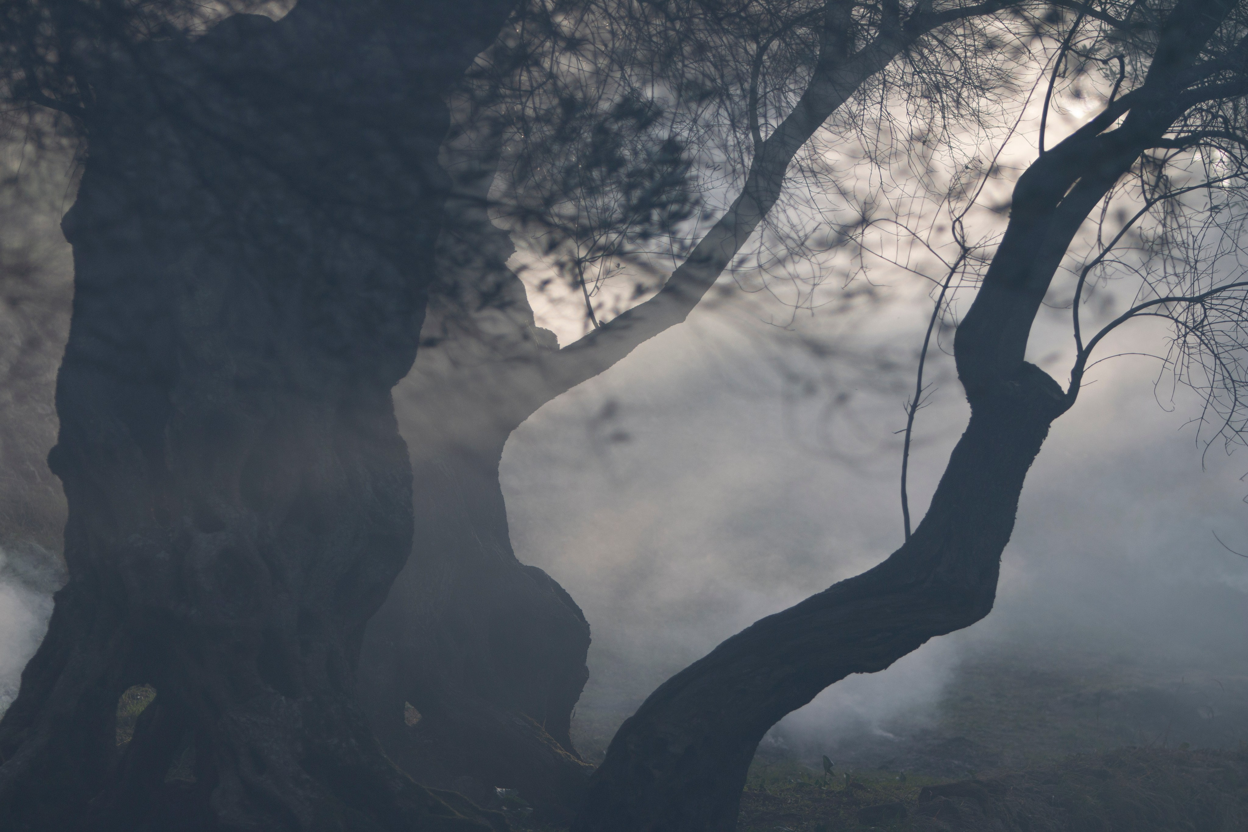 Фото. Фотограф Лагутин Анатолий