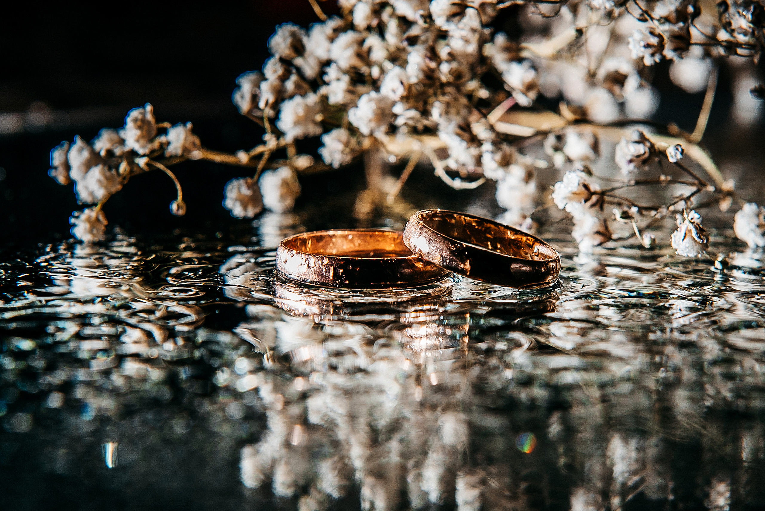 Анонсы. Свадебный и семейный фотограф в Краснодаре