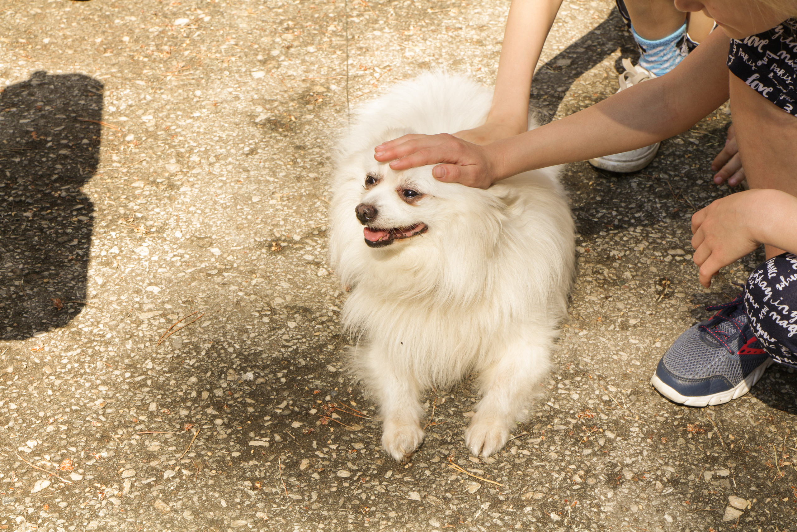 Тимбилдинг. Фотограф Аникеева Алина, Рязань/Москва
