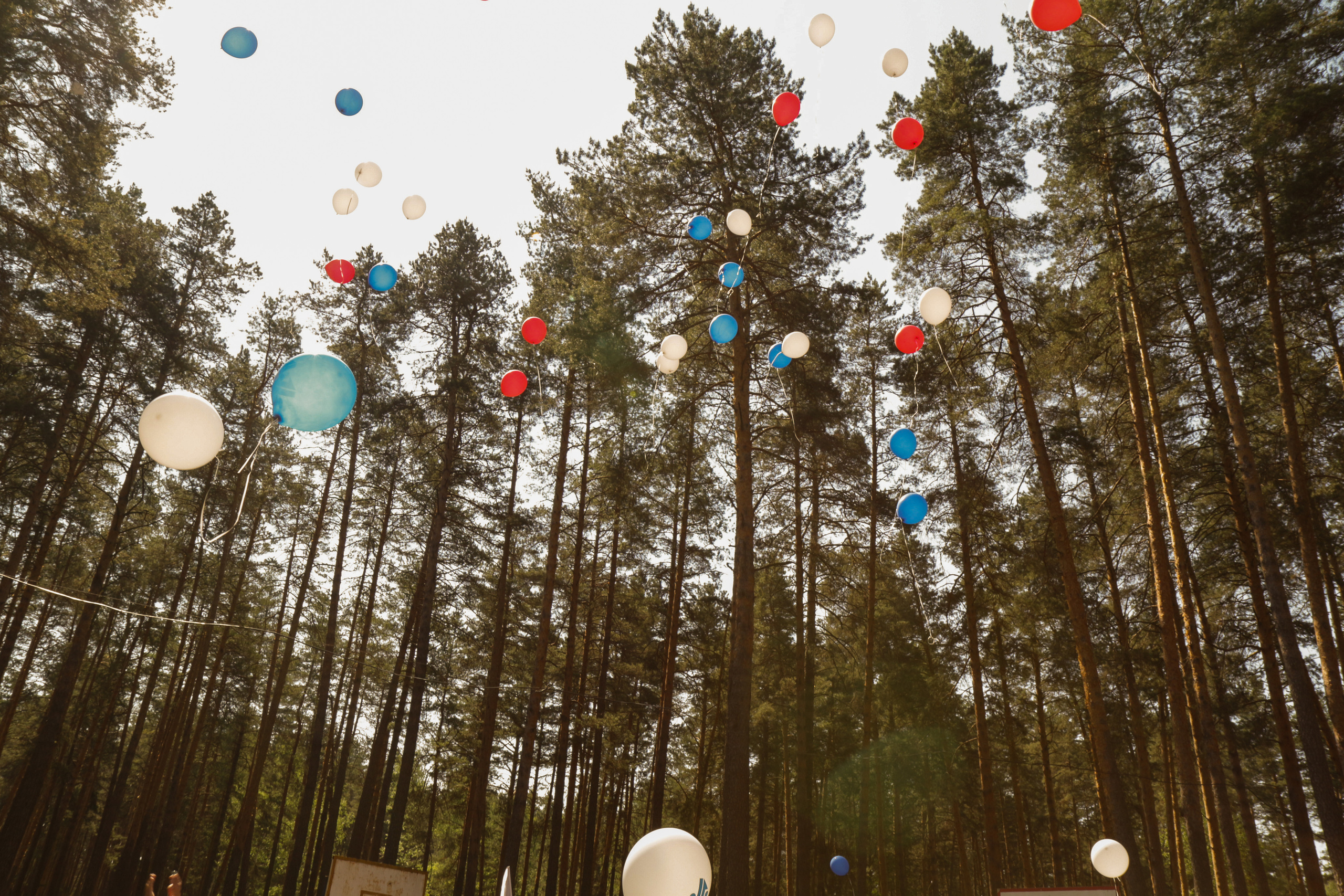 Тимбилдинг. Фотограф Аникеева Алина, Рязань/Москва