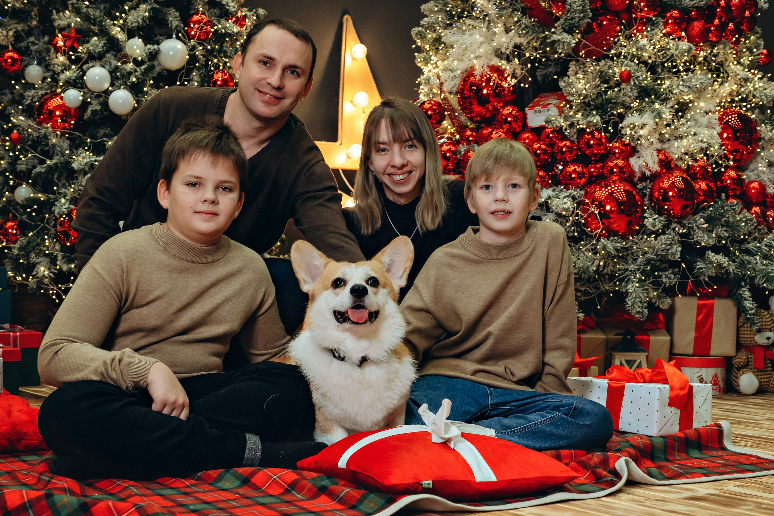 Новый год с корги