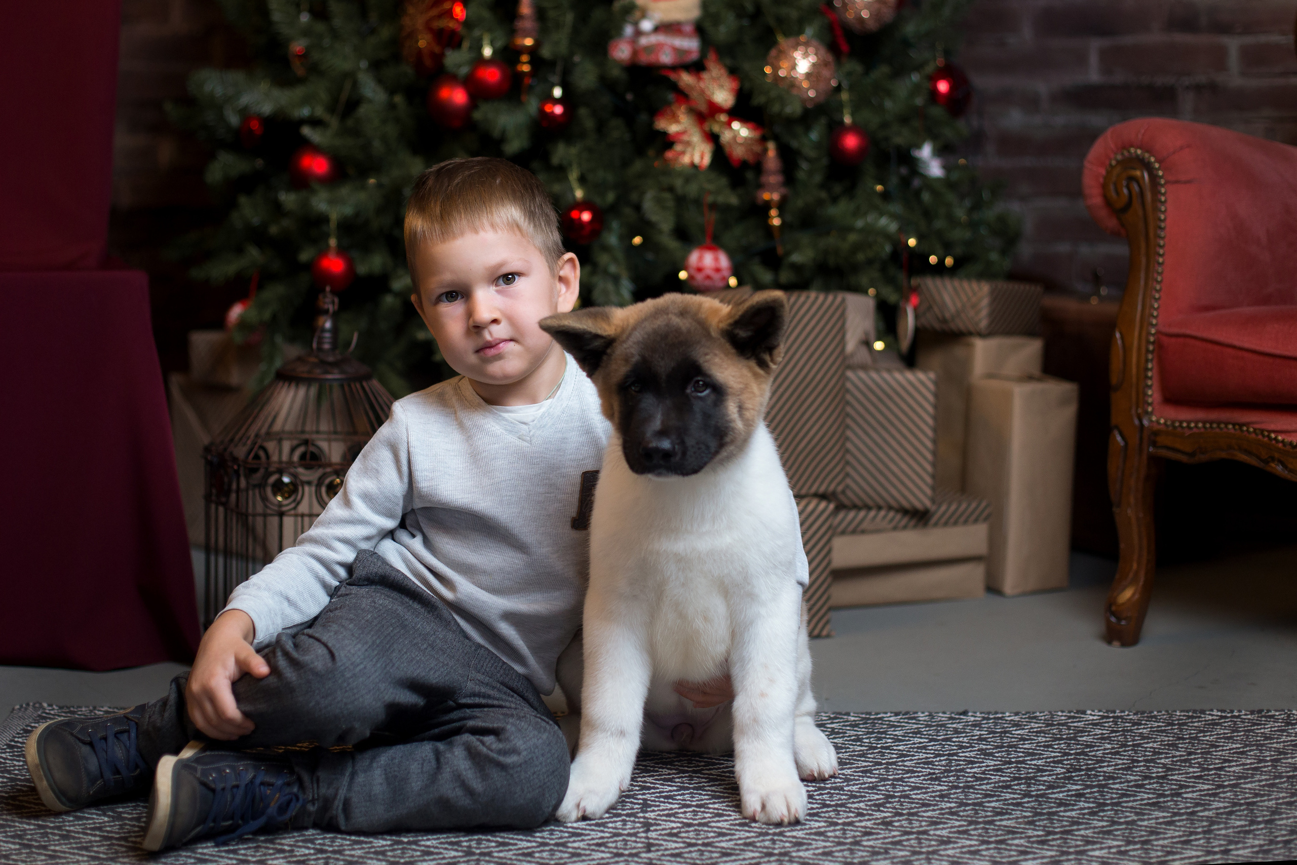Студийные съемки. Школьный фотограф Саратов Золотарь Ольга