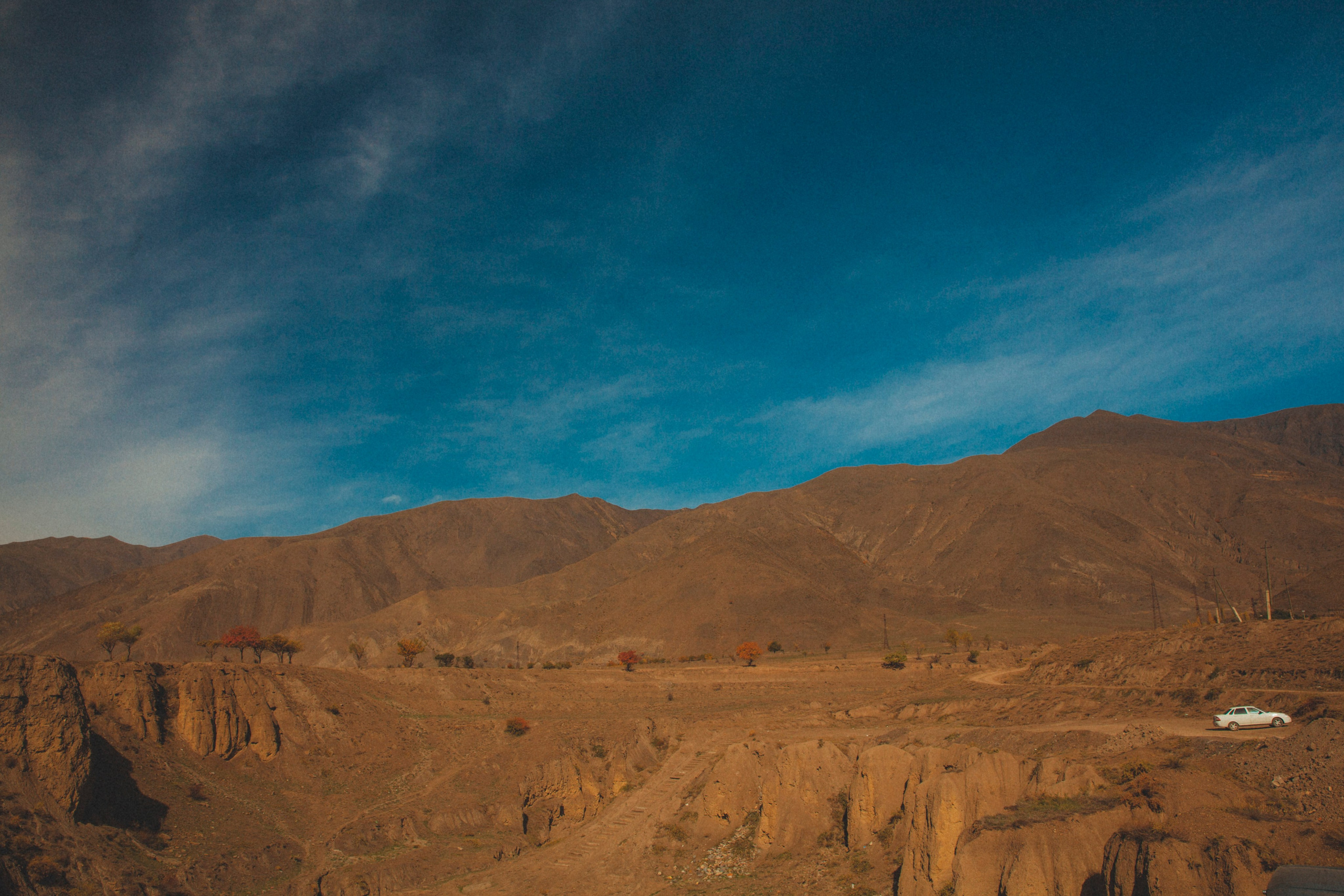 Каспийский страж. Фотограф Александра Степанова
