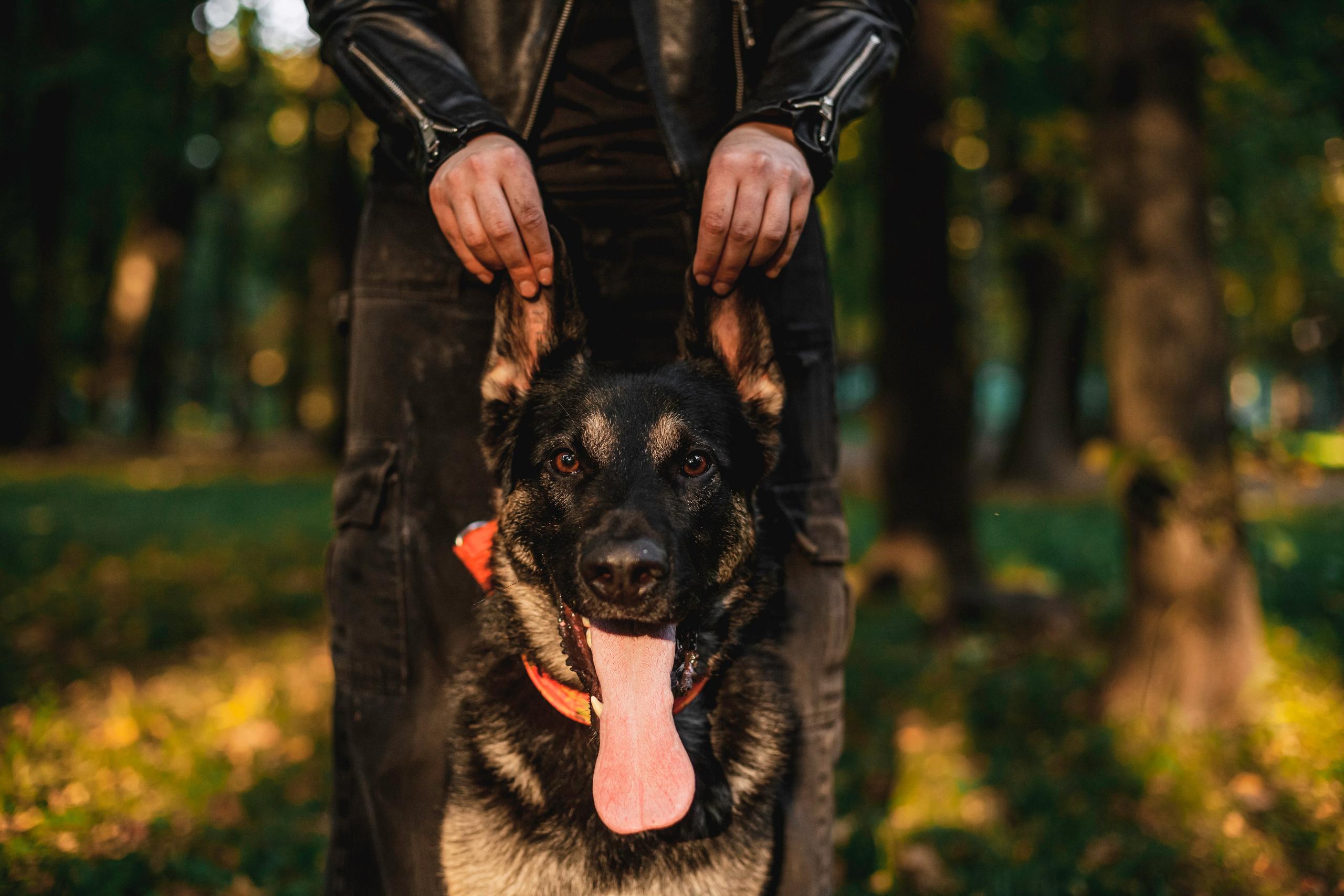 Илай. Фотограф-анималист Татьяна Степанова