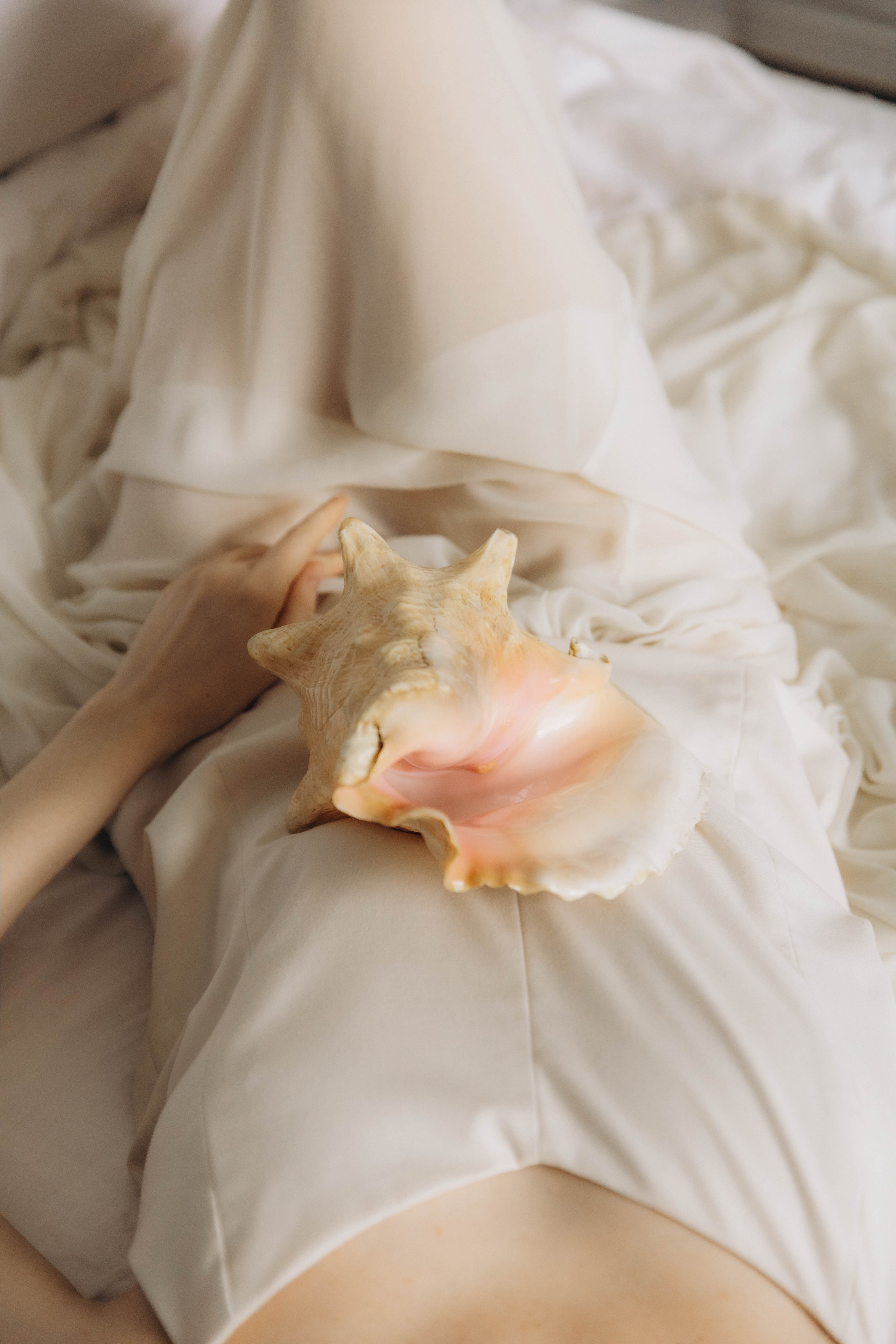 Александр и Полина. Свадебное агентство Amorewed Agency