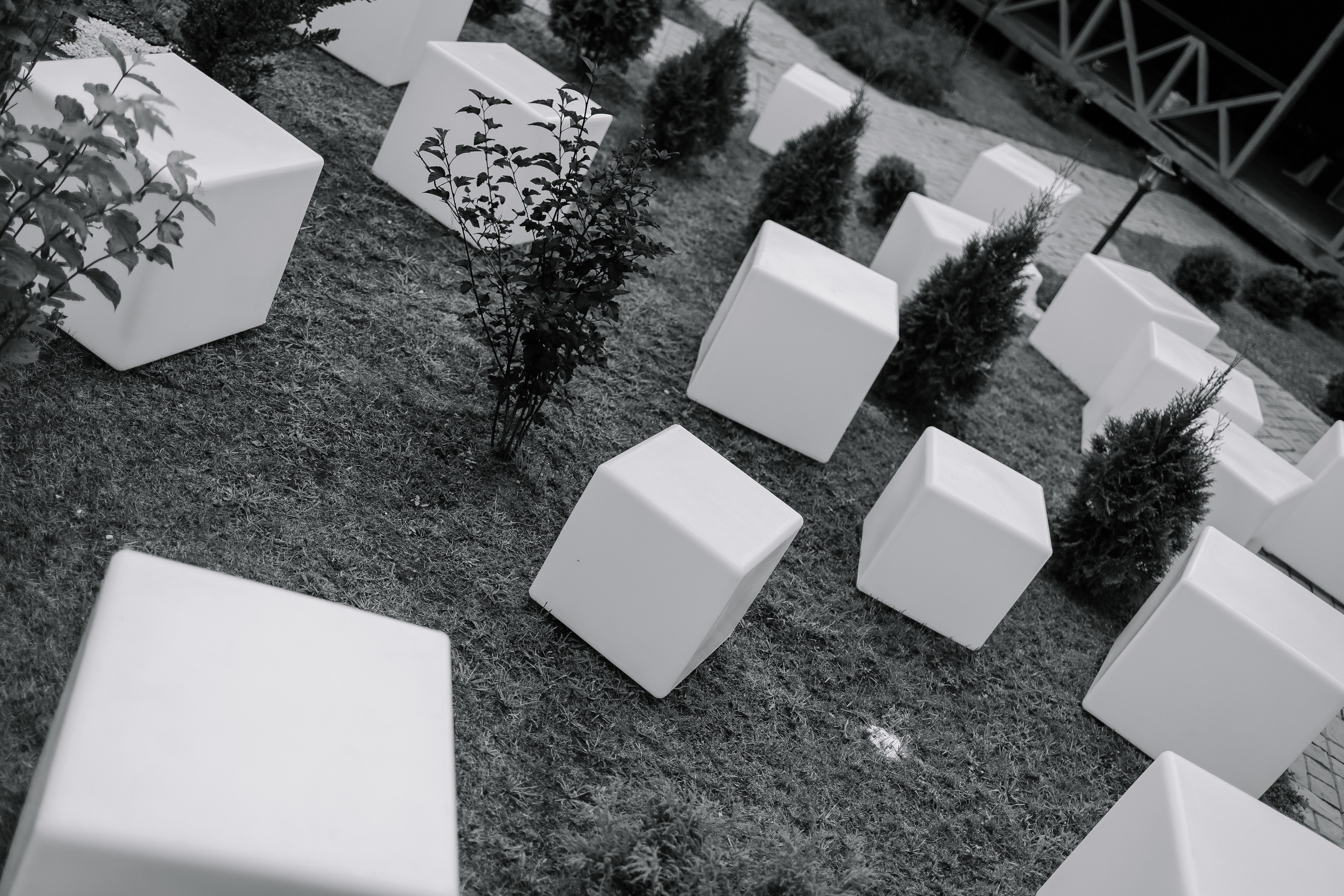 Егор/Арина. Свадебный фотограф