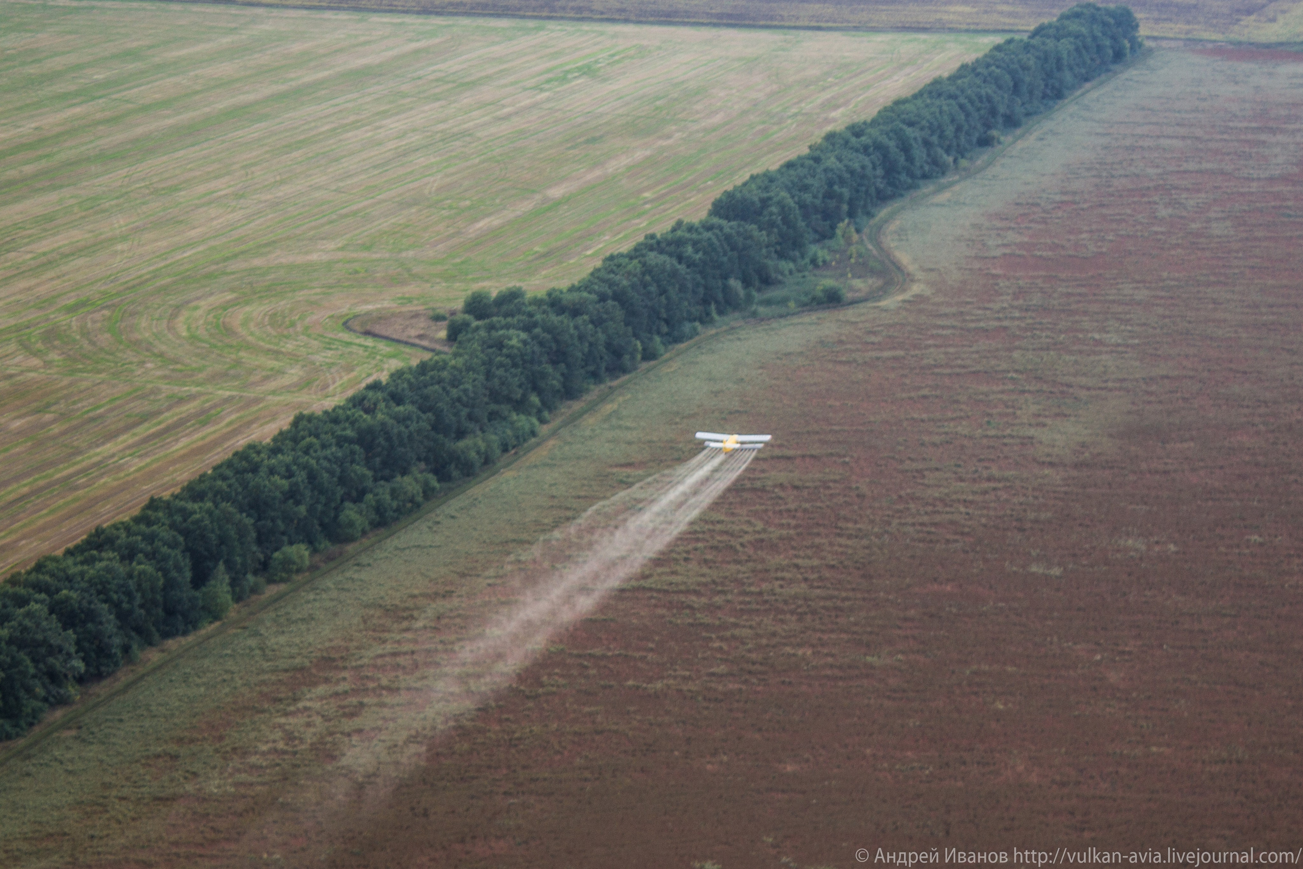 Волгодонск аэр. Потапов слёт «Небо для всех» (2021 г.). Фотоальбом показывающий увлекательный мир авиации и мир медведей Андрея Иванова