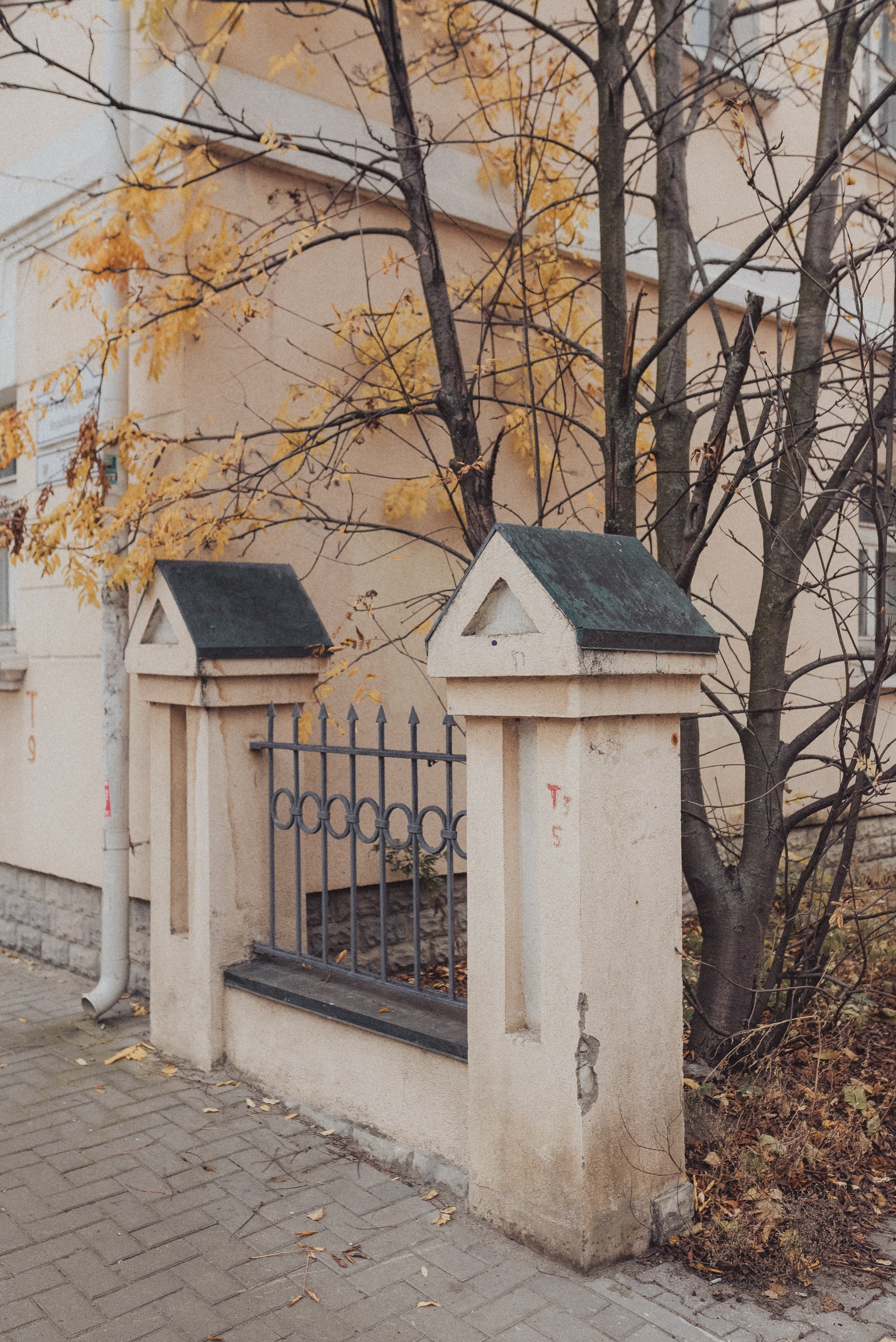 Проект #улицыгорода. Ярославль, ул. Республиканская. Документальный фотограф Илья Тихановский