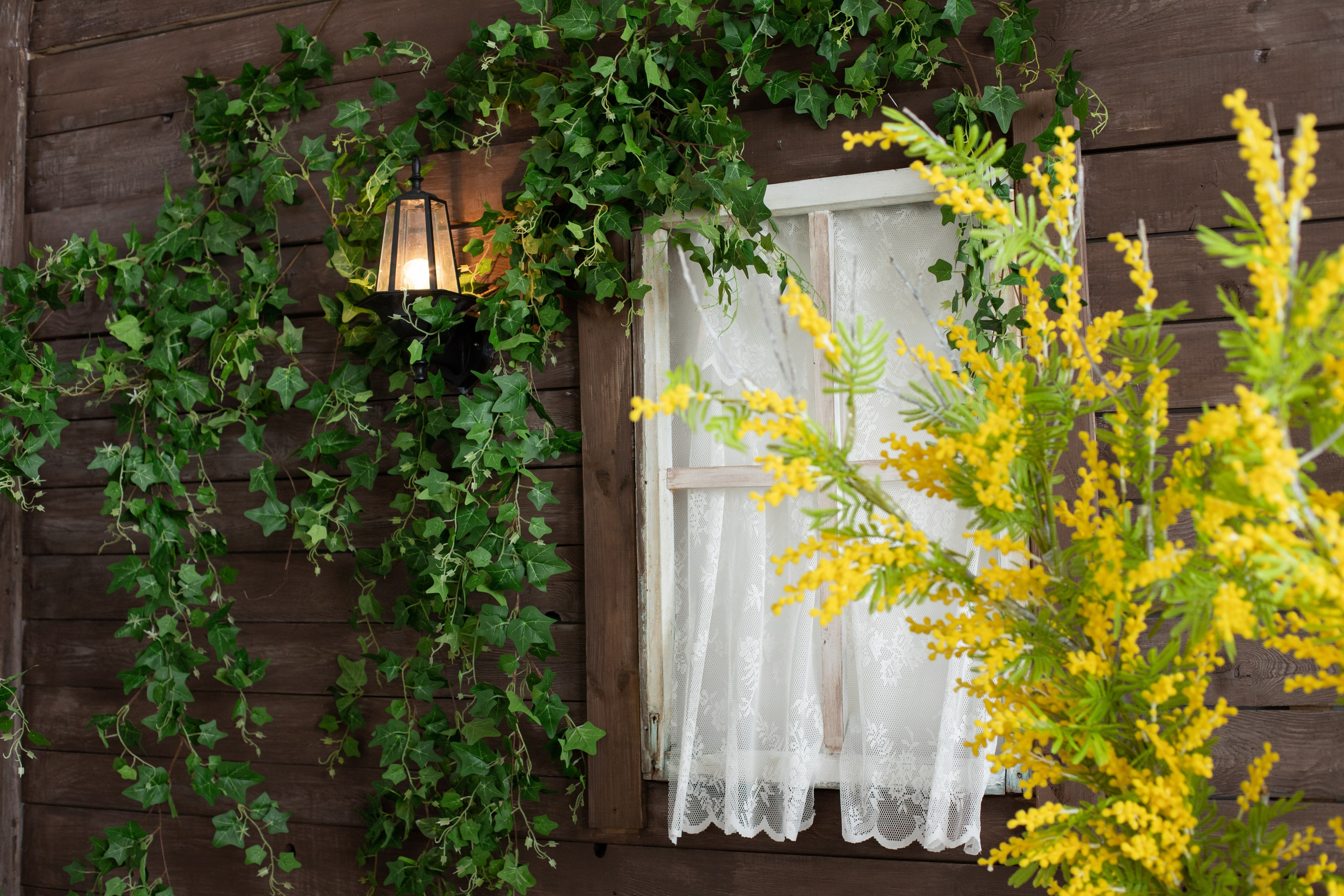Буфет (студия Зеркало). Фотограф г. Хабаровск. Семейные и индивидуальные съёмки