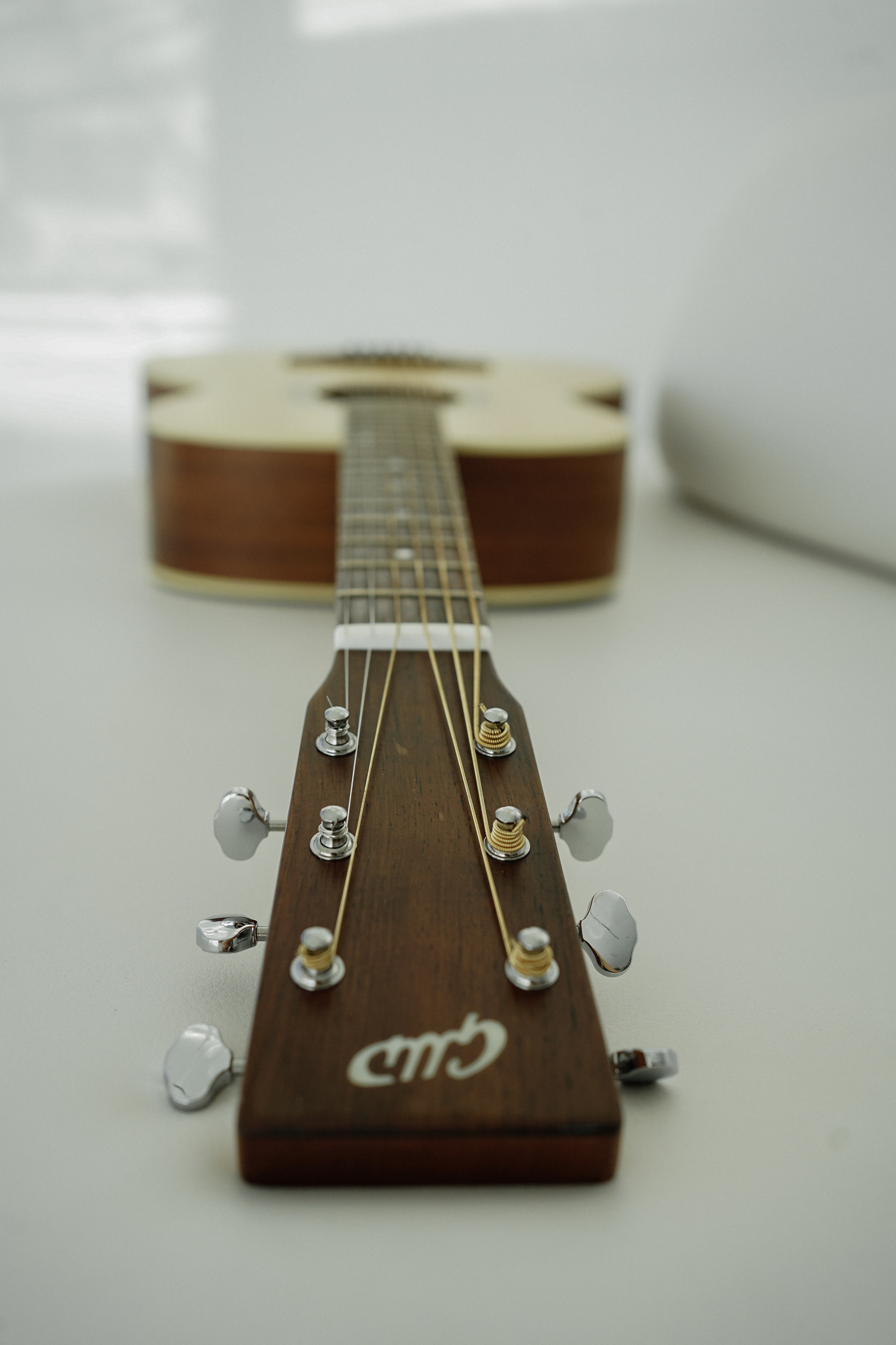 Григорий Композитор. Фотограф Ольга Игорева