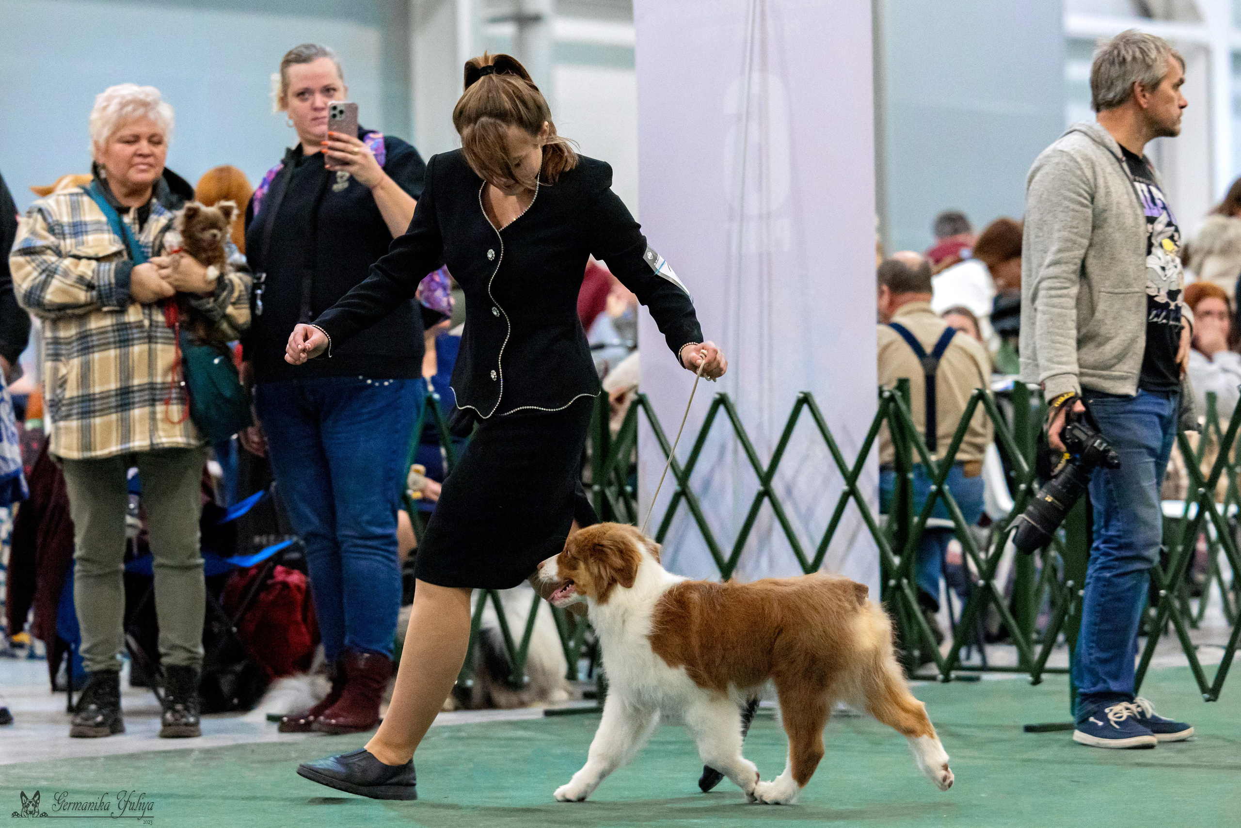 Сфера 29.10,Крокус 4.11,Сфера 12.11.2023. Фотограф-анималист Юлия Германика